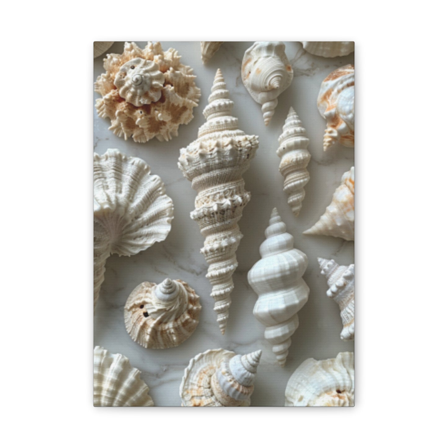 Seashell Serenity Canvas Print