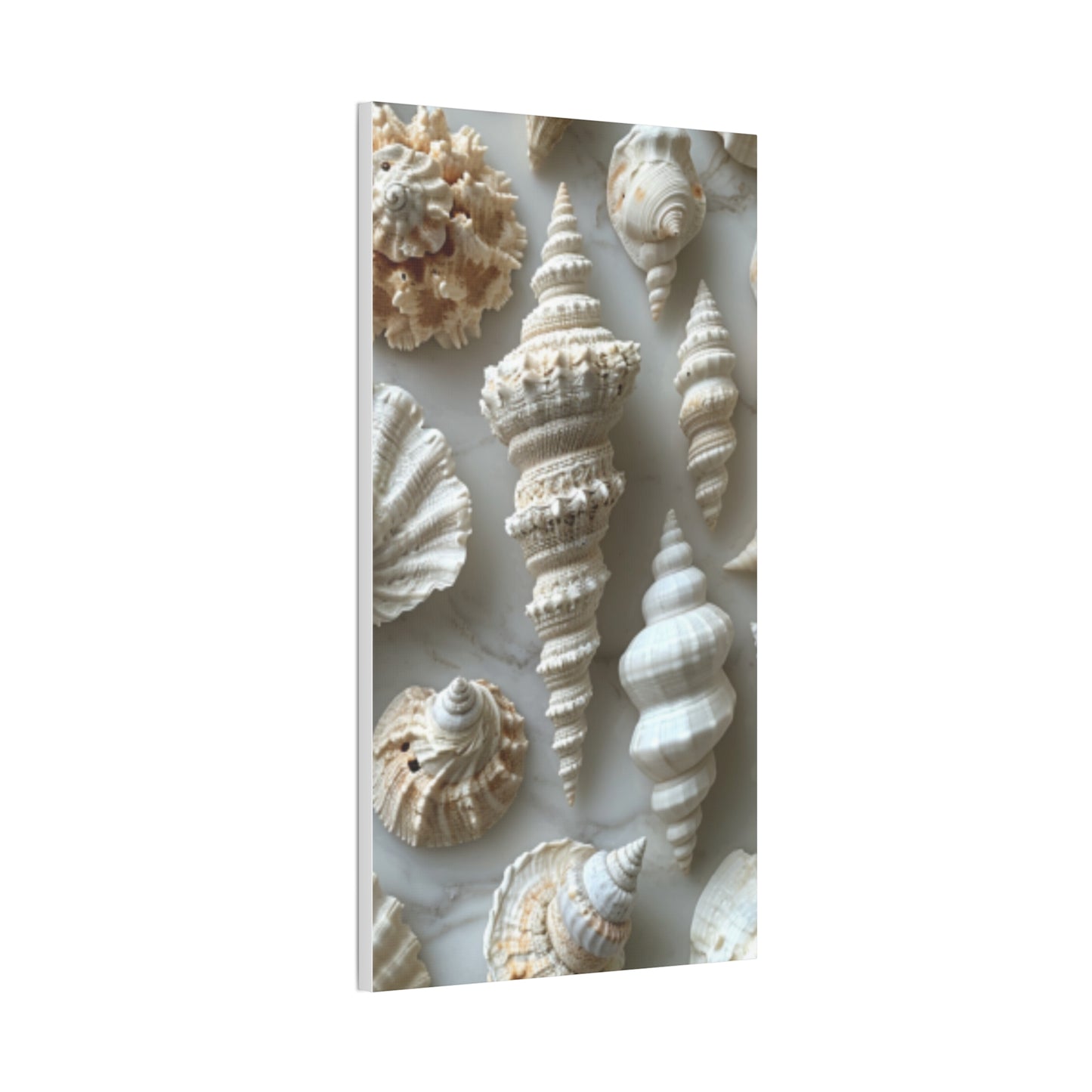 Seashell Serenity Canvas Print