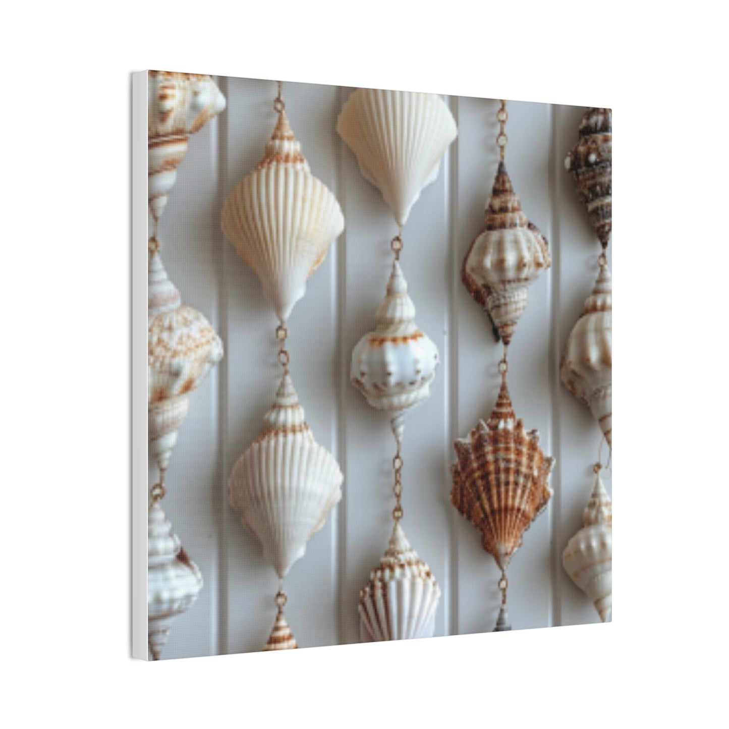 Seashell Serenity Canvas Print