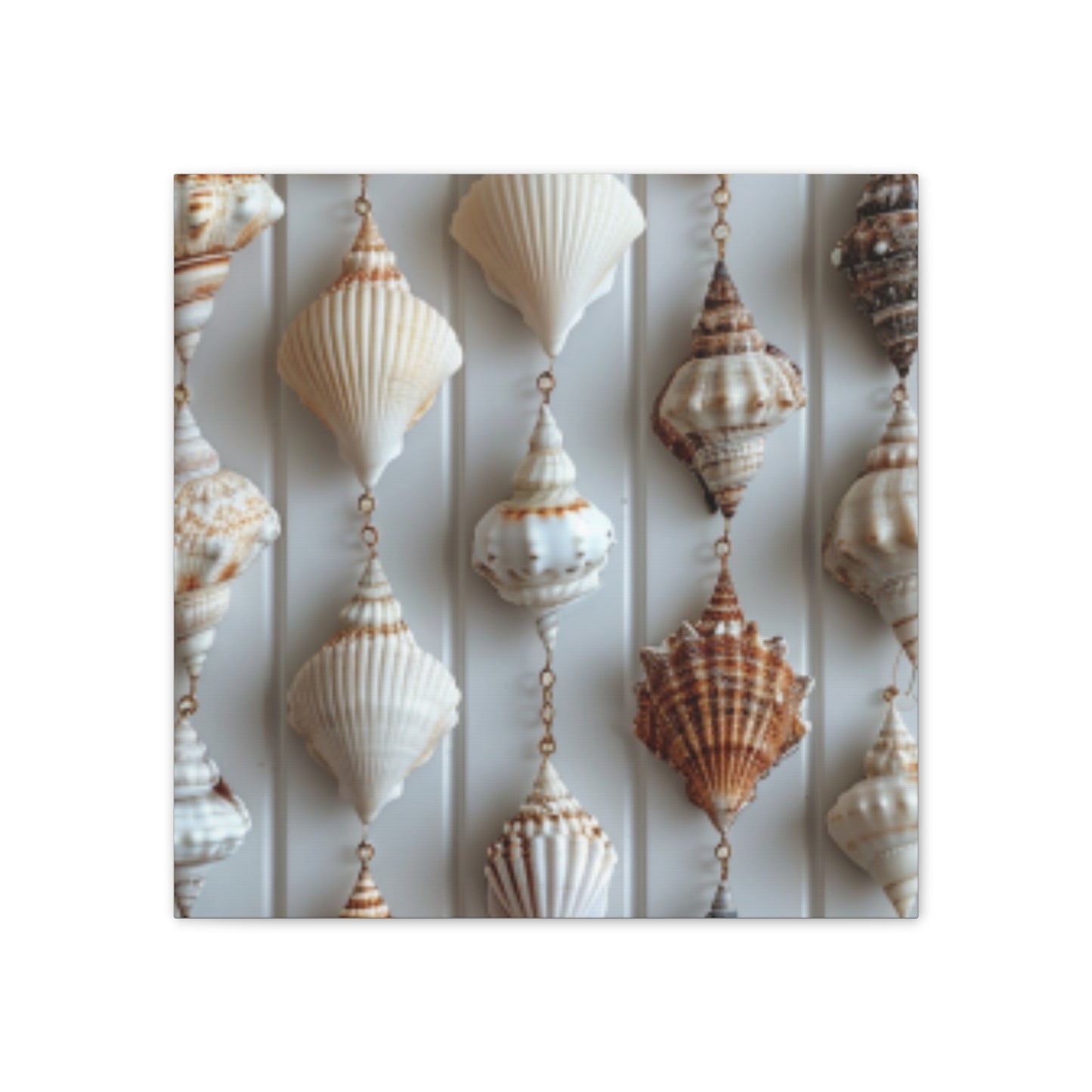 Seashell Serenity Canvas Print