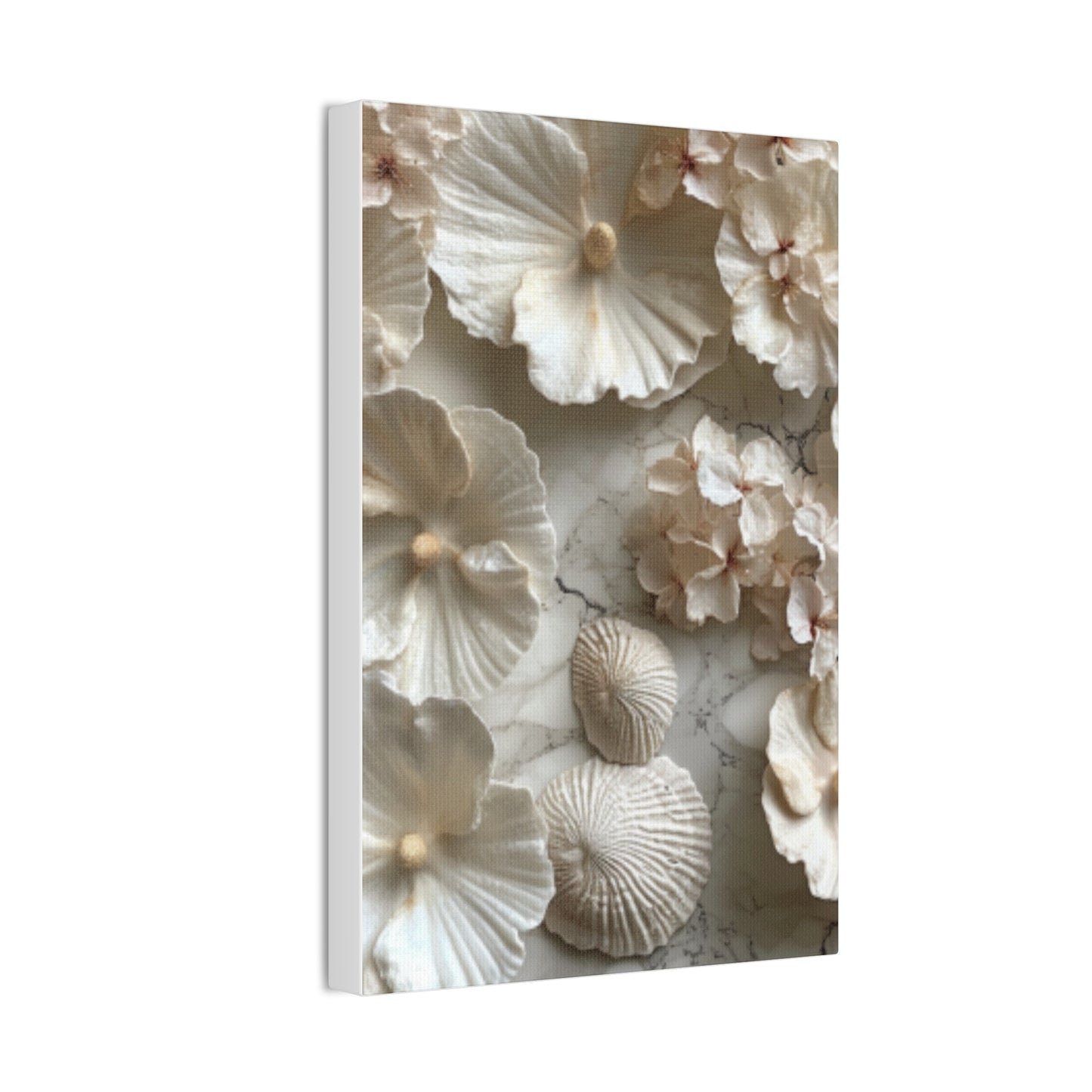 Seashell Serenity Canvas Print