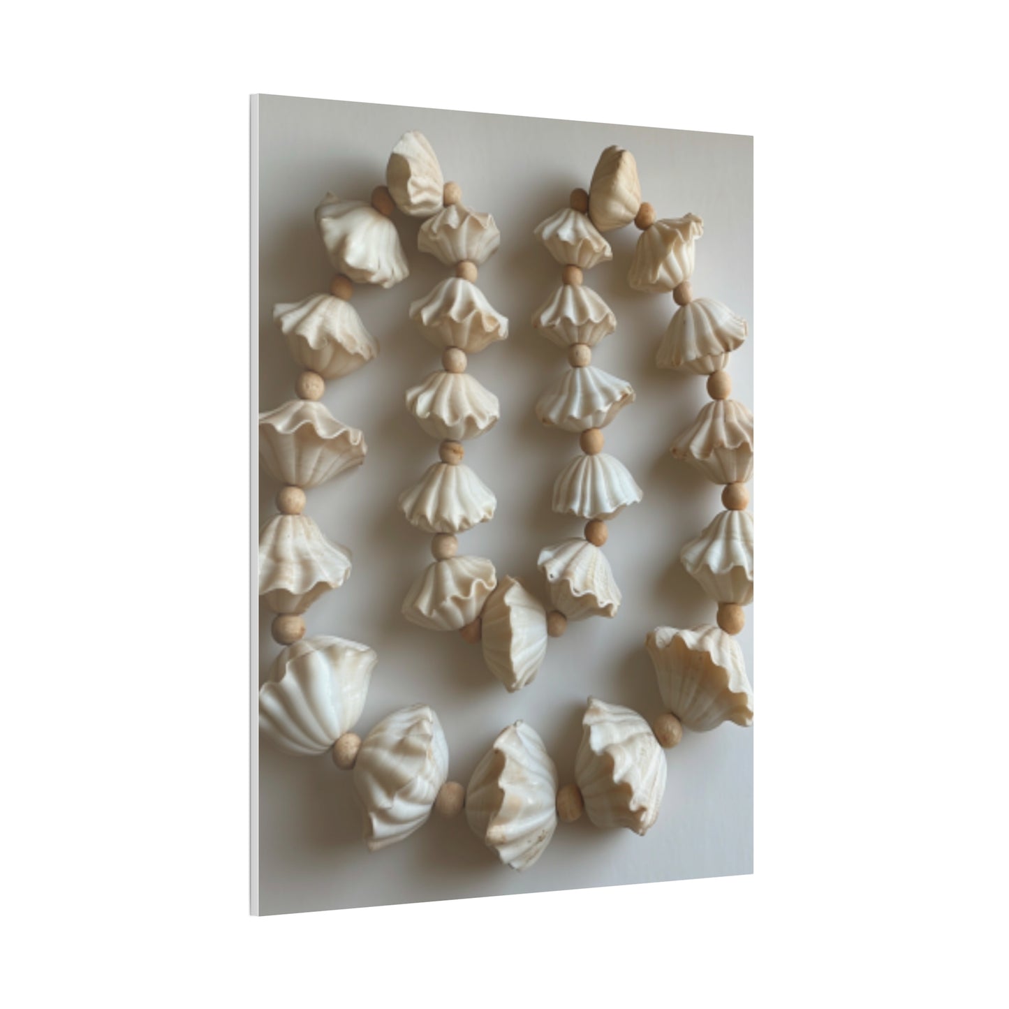 Seashell Serenity Canvas Print