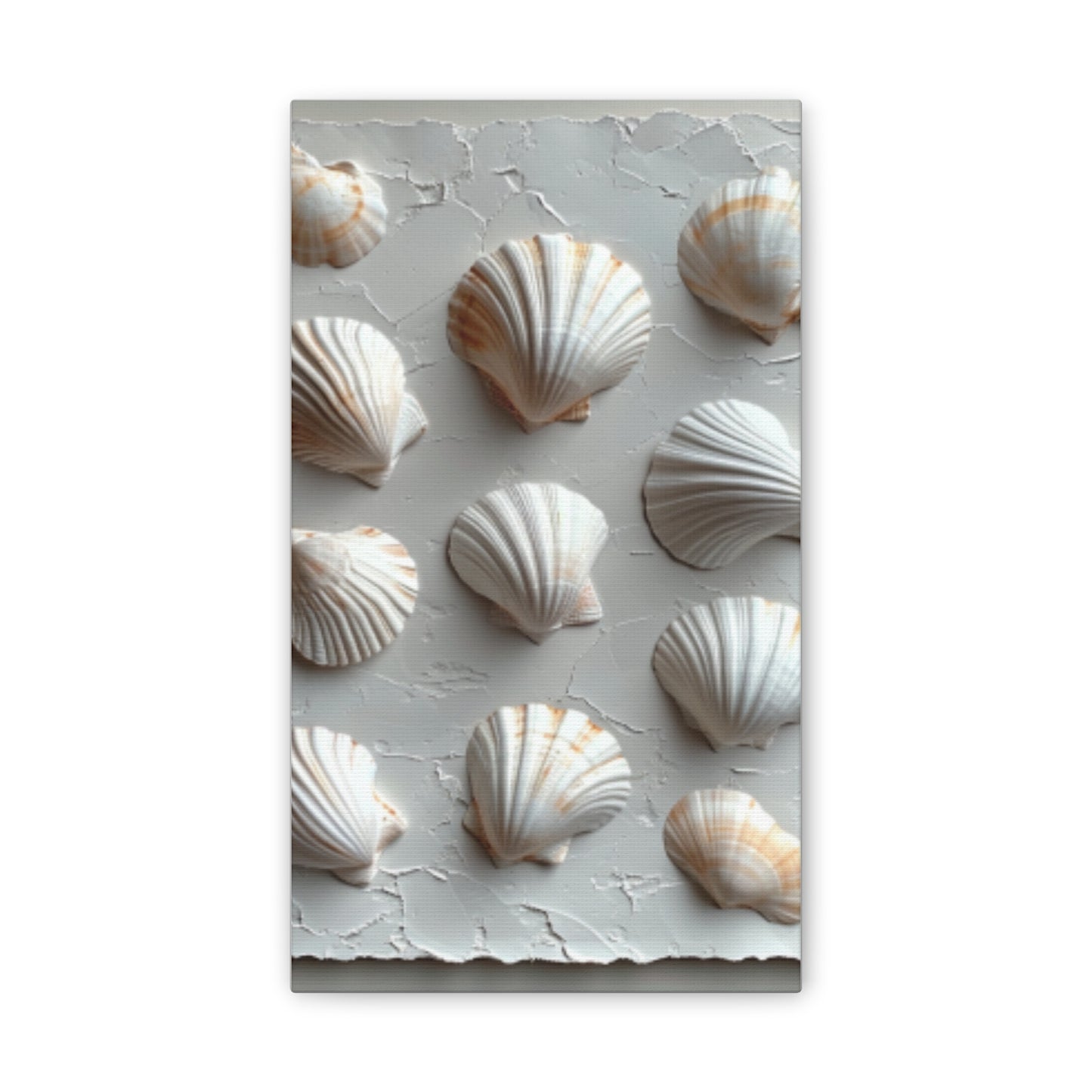 Seashell Serenity Canvas Print