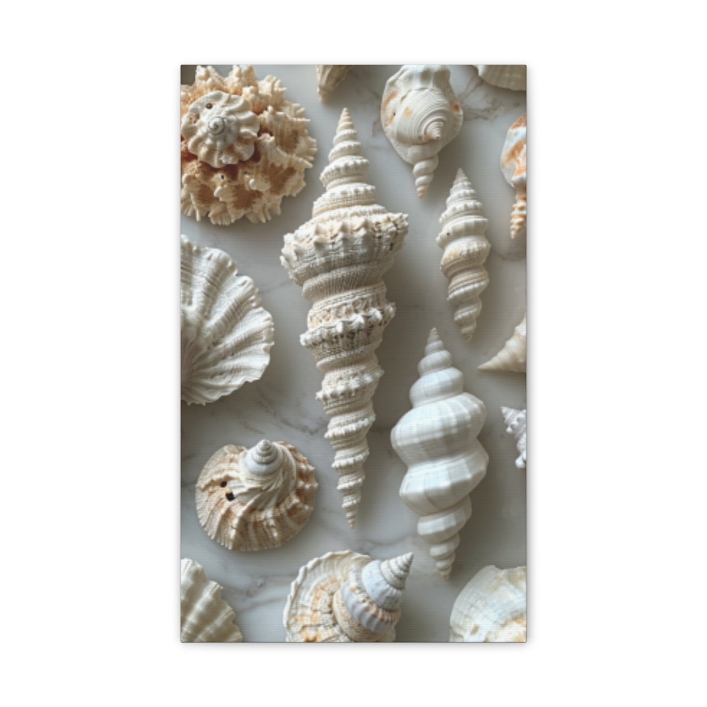 Seashell Serenity Canvas Print