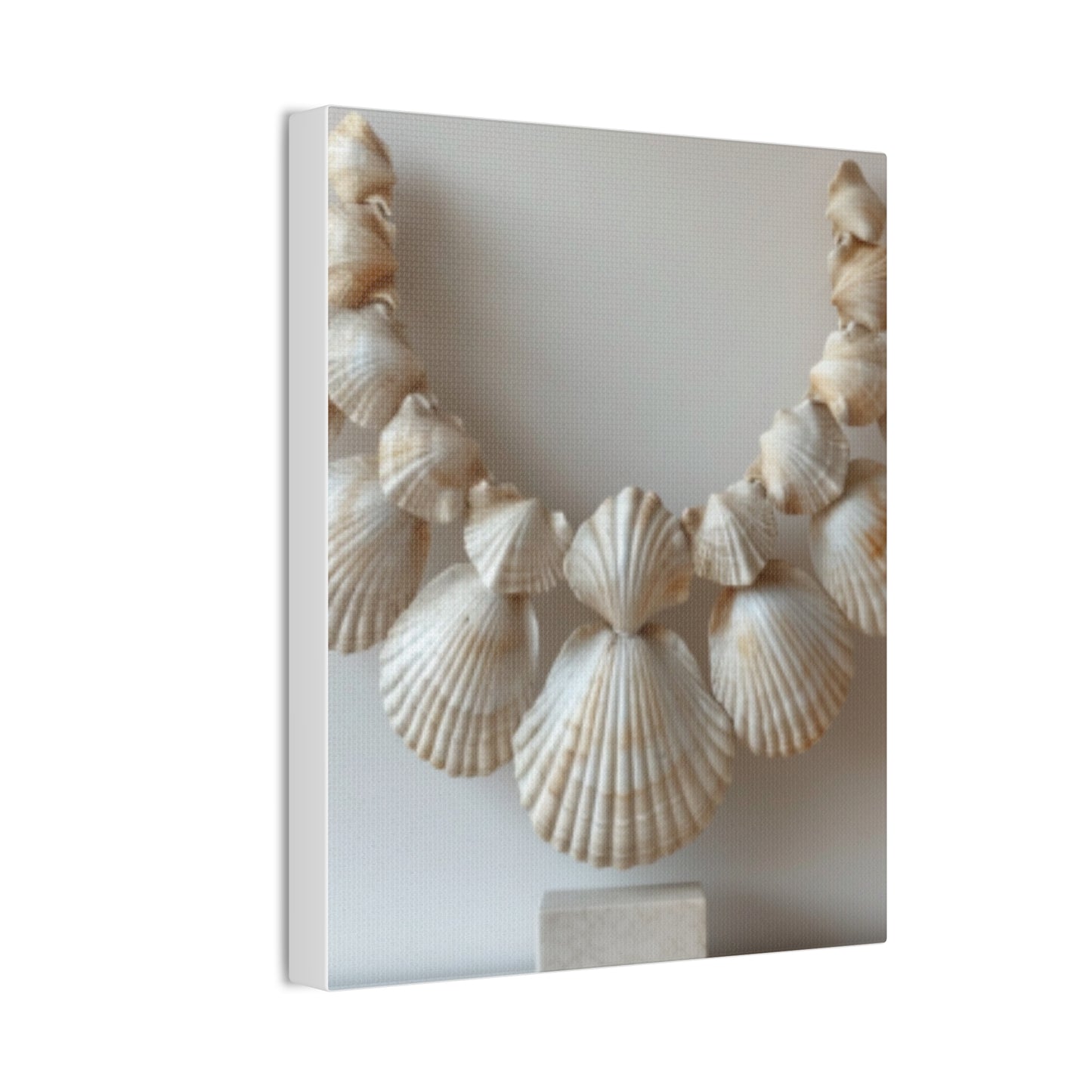 Seashell Serenity Canvas Print