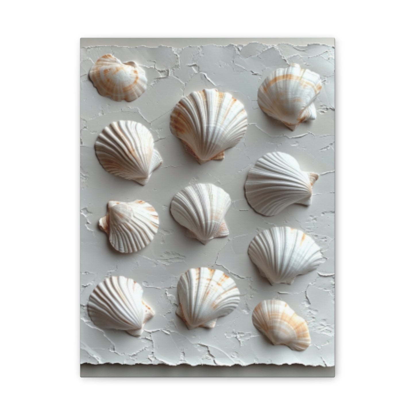 Seashell Serenity Canvas Print