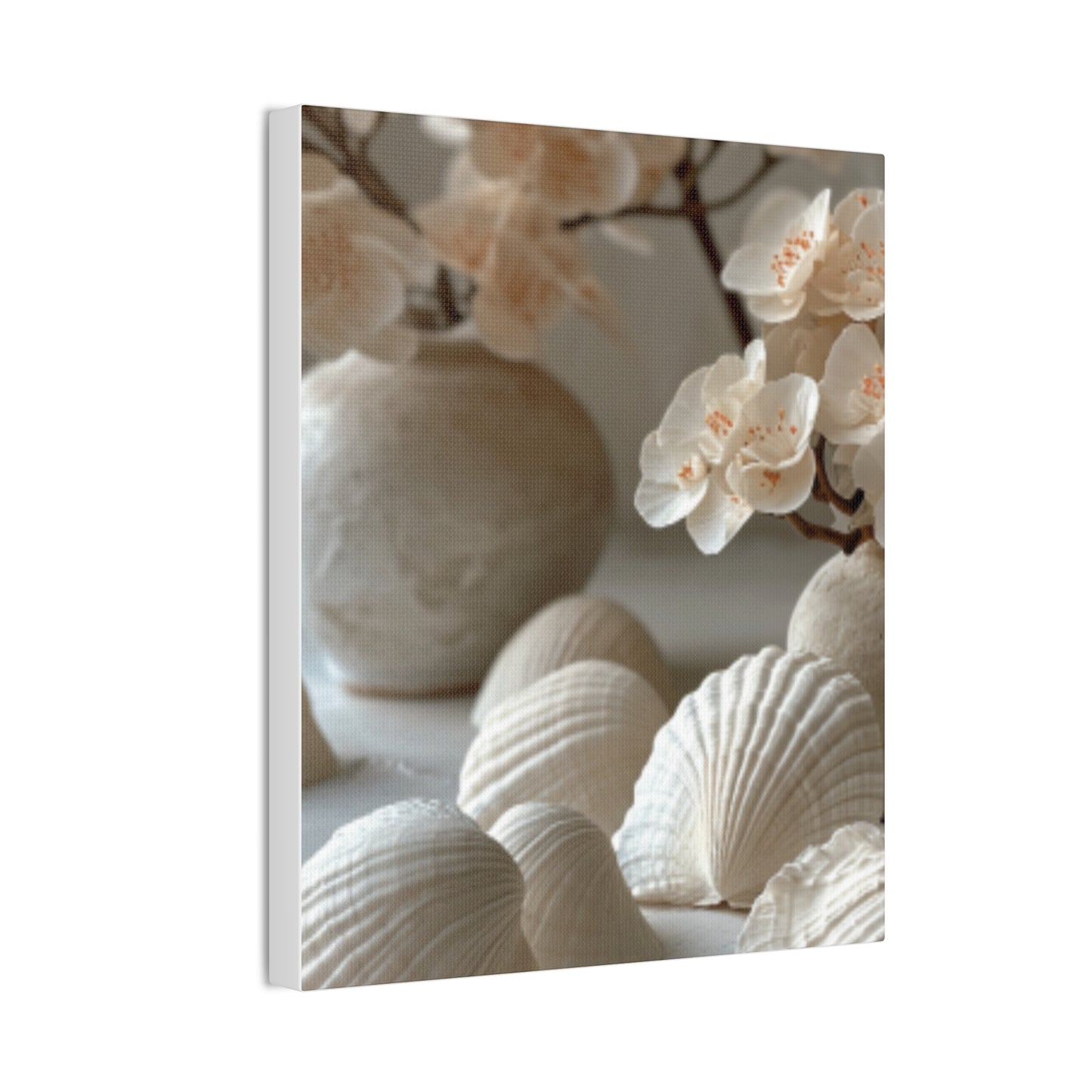 Seashell Serenity Canvas Print