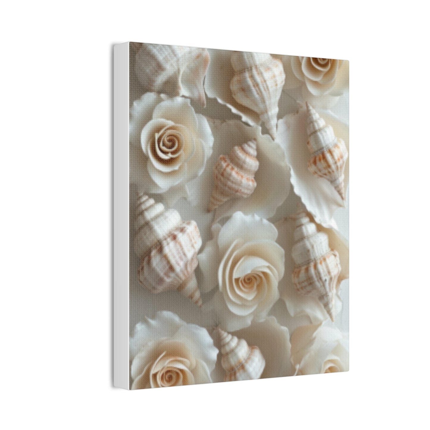 Seashell Serenity Canvas Print