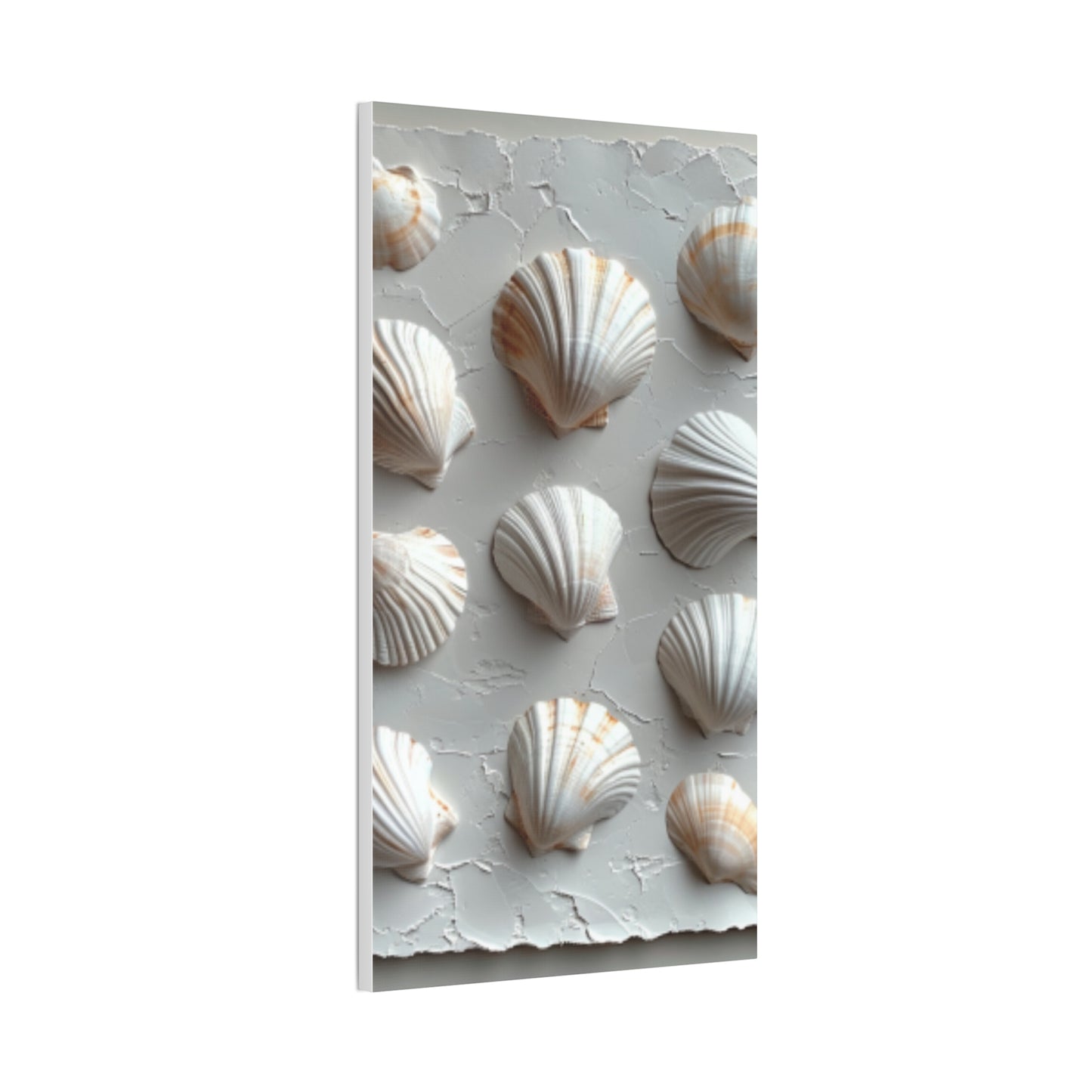 Seashell Serenity Canvas Print