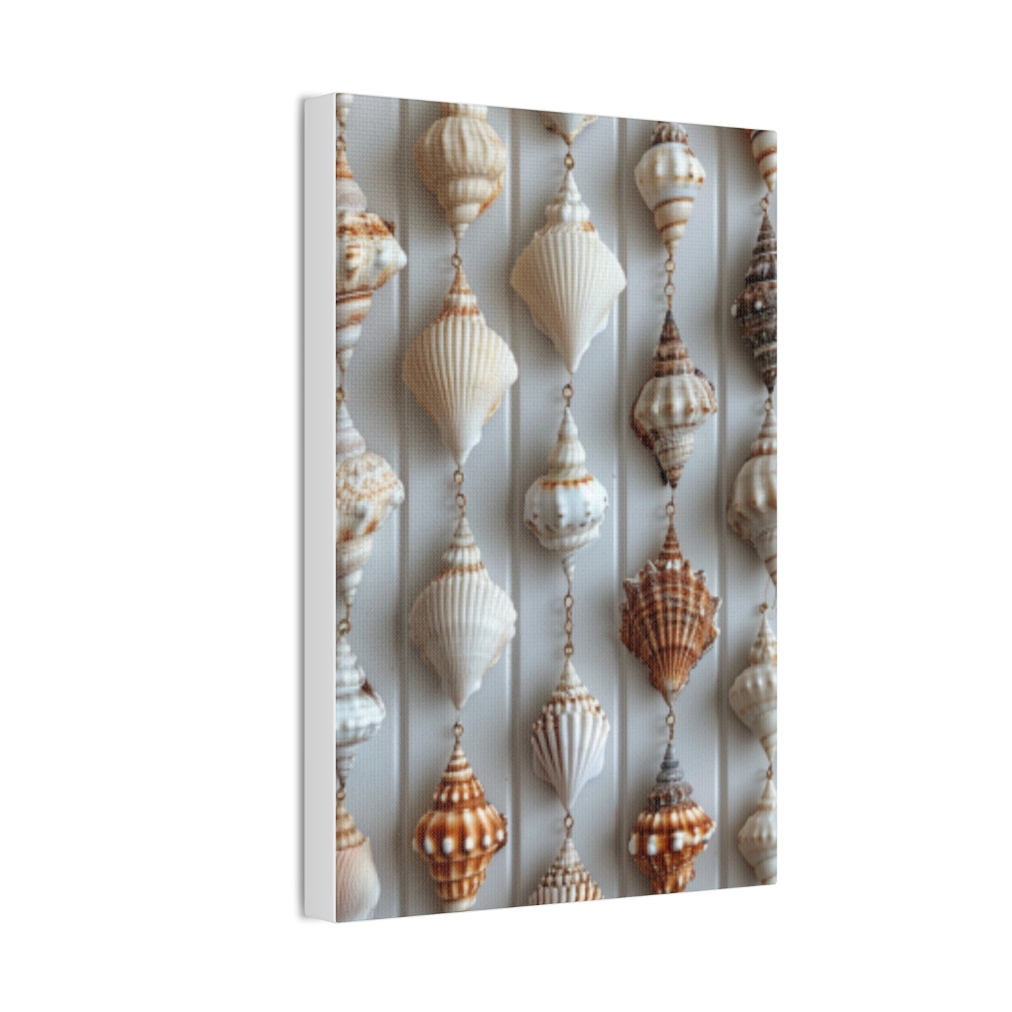 Seashell Serenity Canvas Print