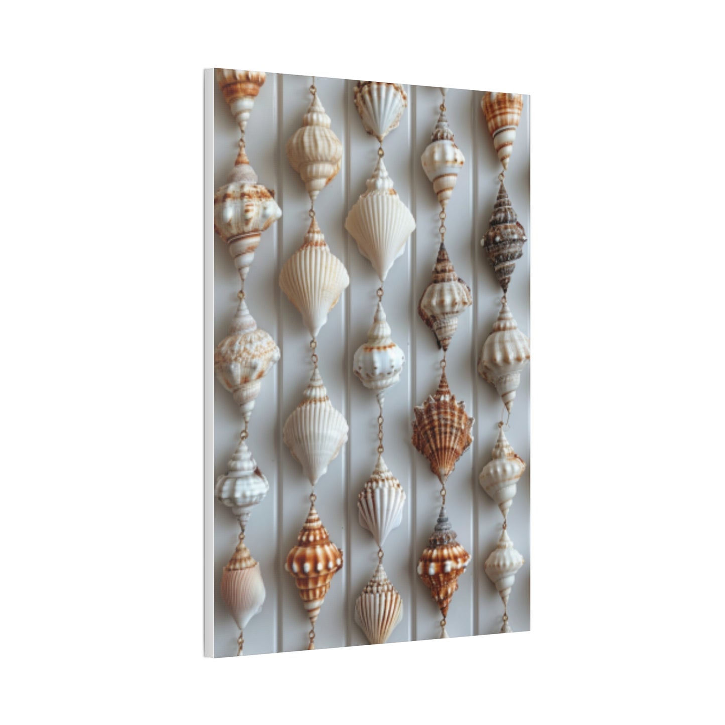 Seashell Serenity Canvas Print