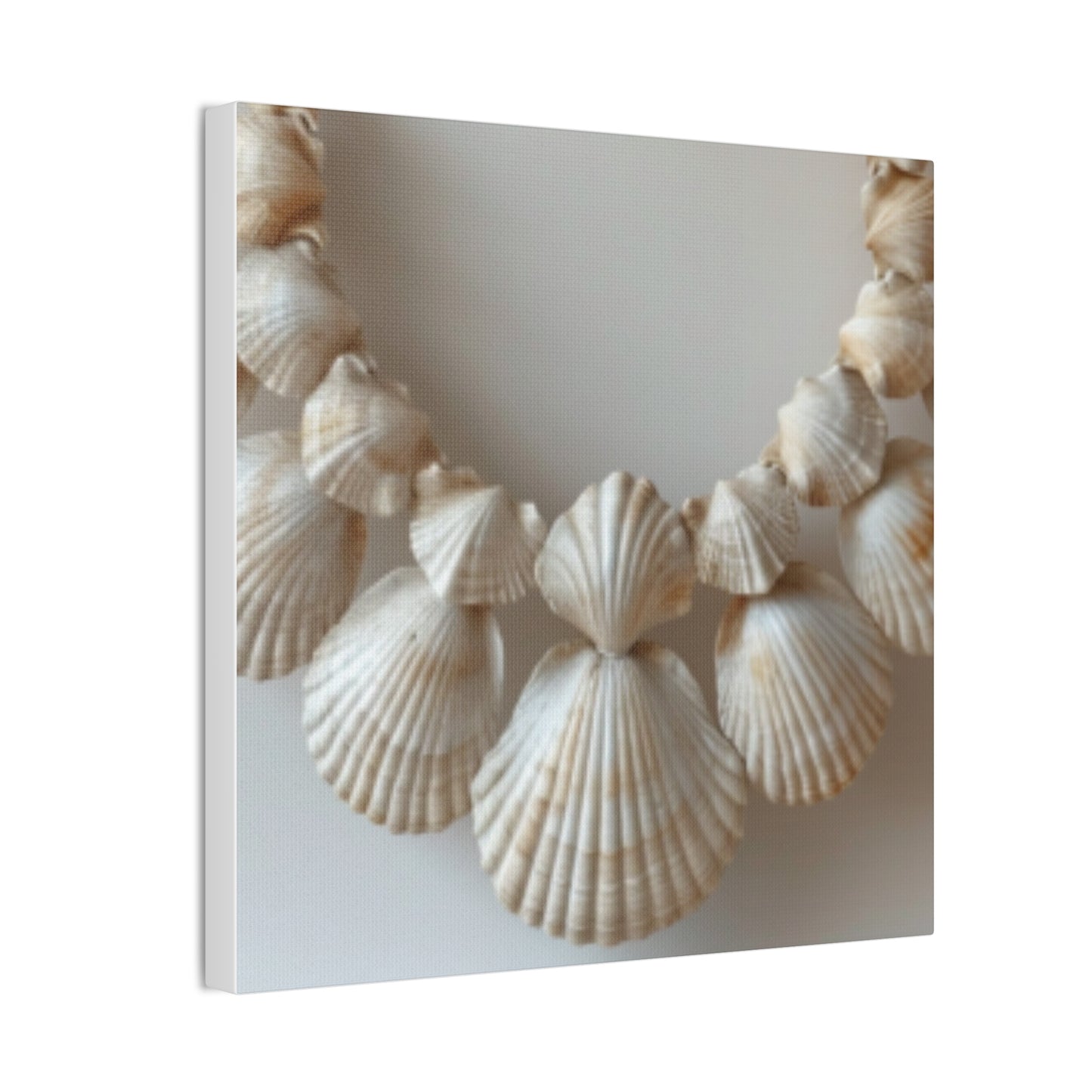 Seashell Serenity Canvas Print