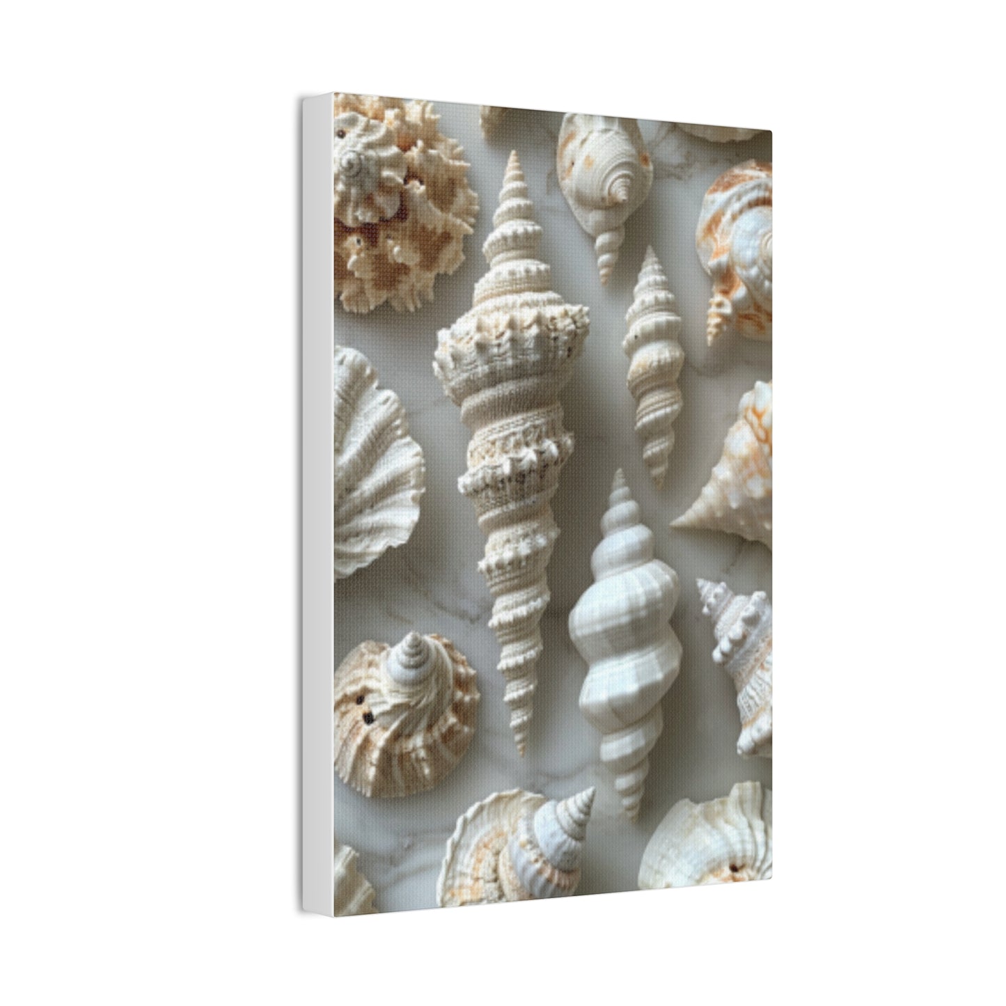 Seashell Serenity Canvas Print