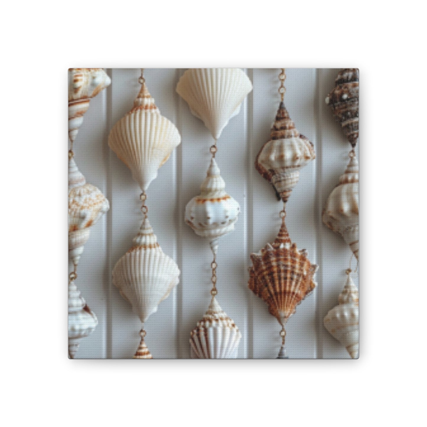 Seashell Serenity Canvas Print