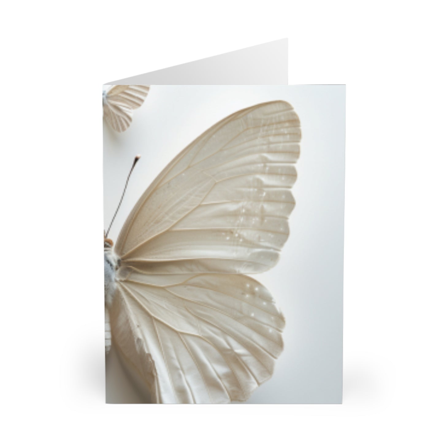 Wings of Wonder: Butterfly Note Card Collection (5 Pack)