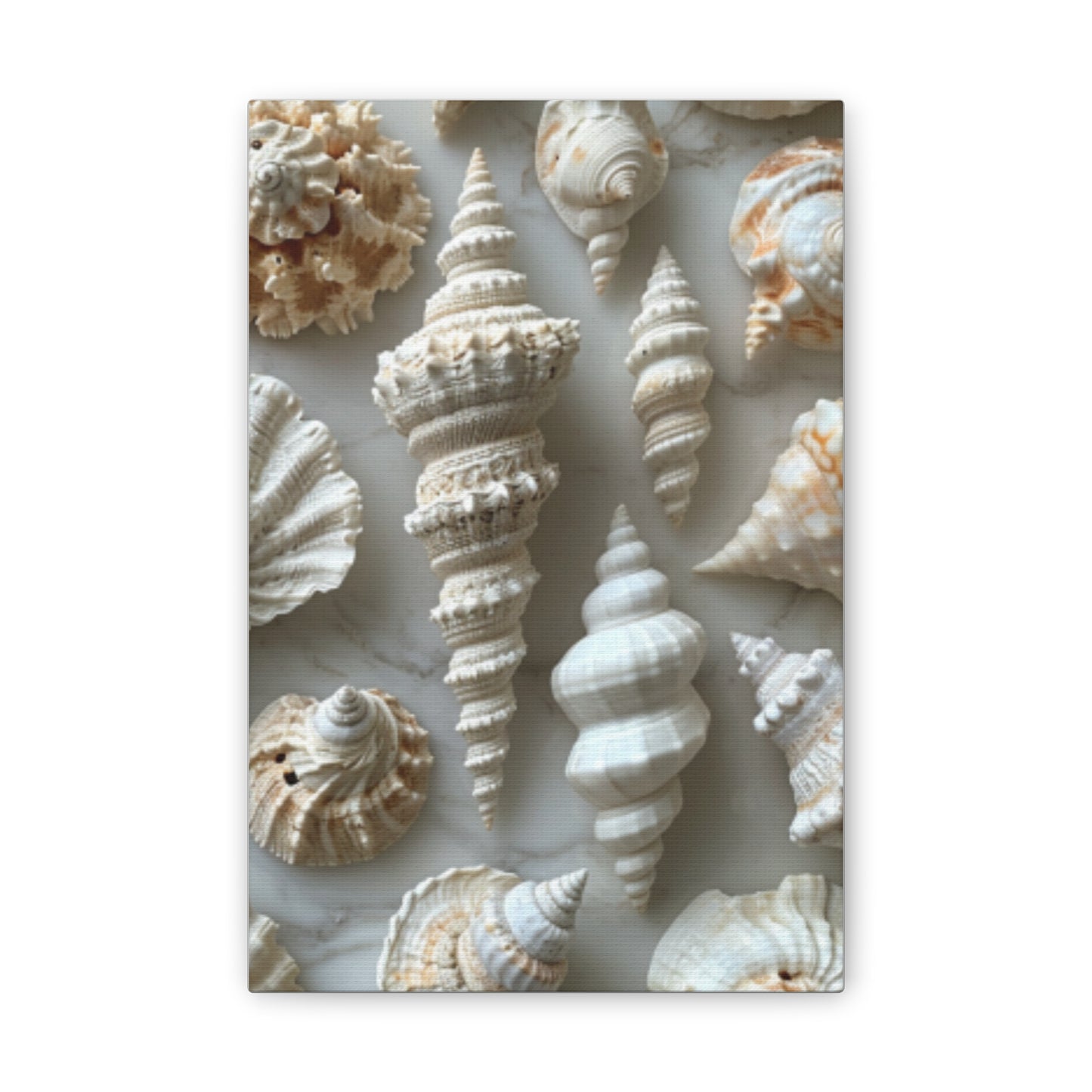 Seashell Serenity Canvas Print