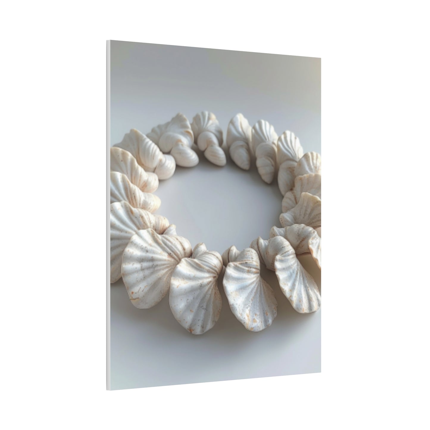 Seashell Serenity Canvas Print