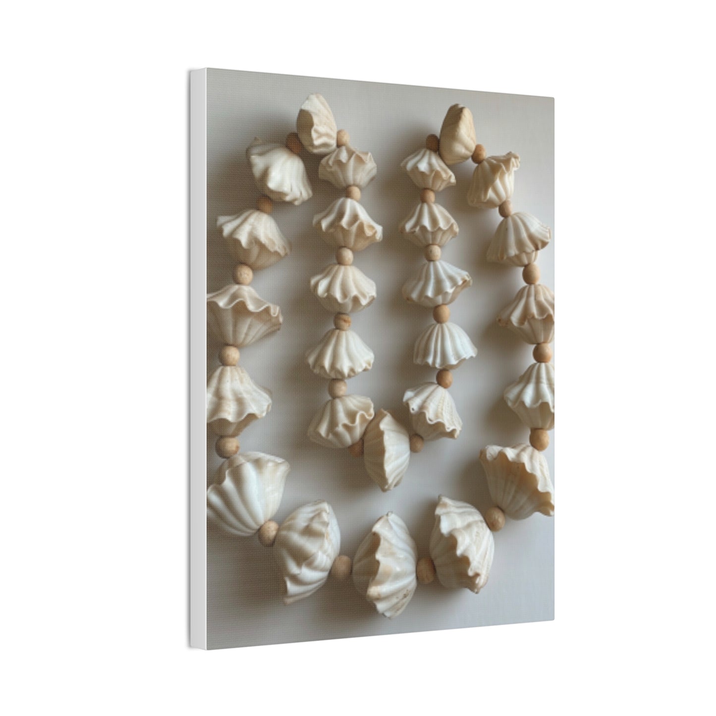 Seashell Serenity Canvas Print