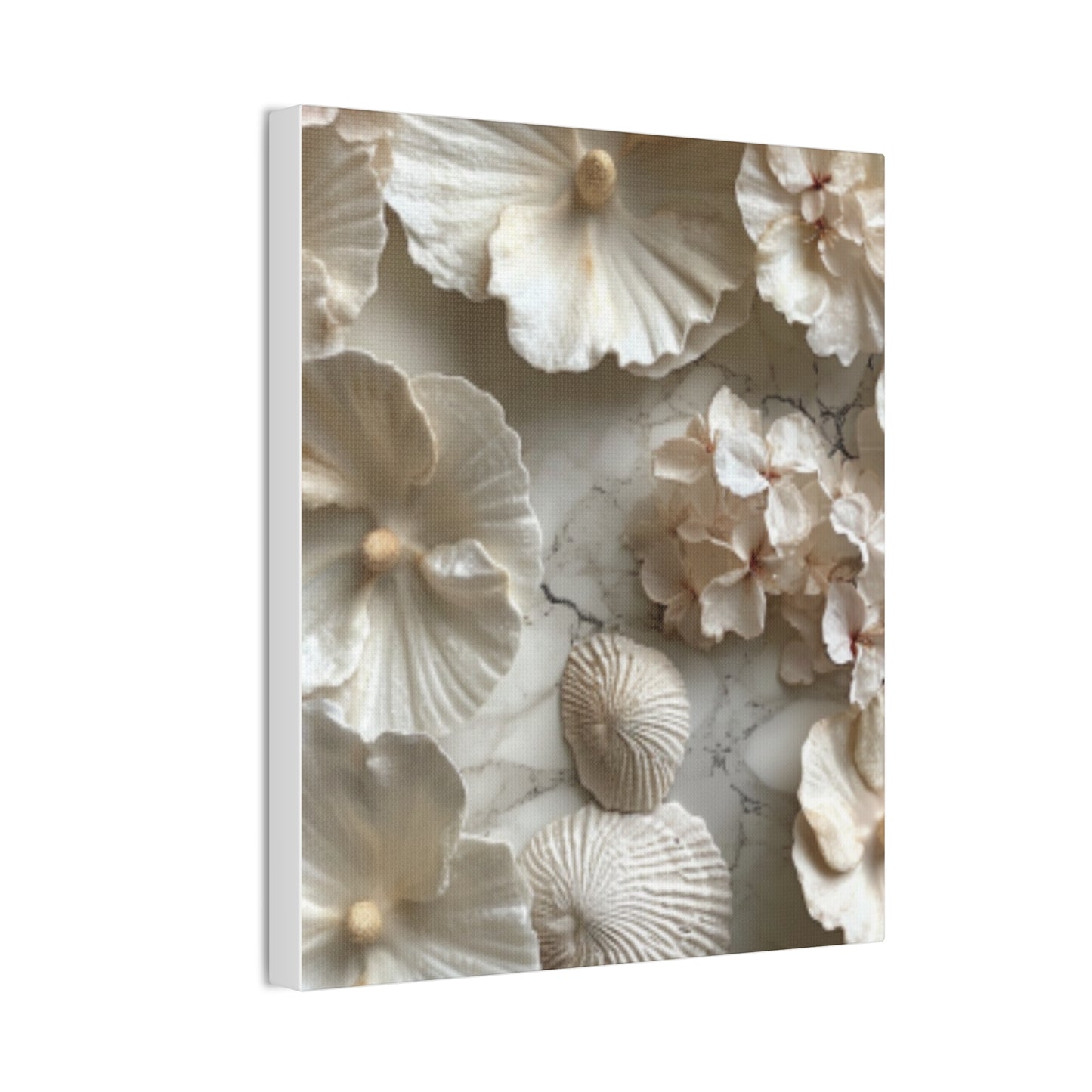 Seashell Serenity Canvas Print