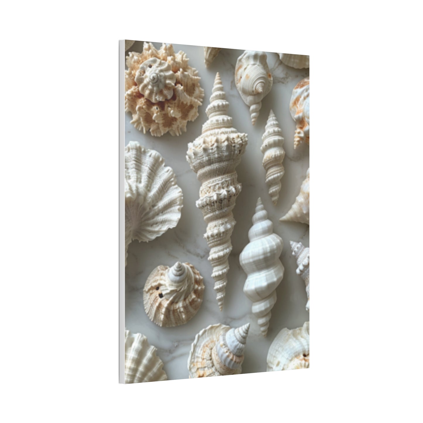 Seashell Serenity Canvas Print