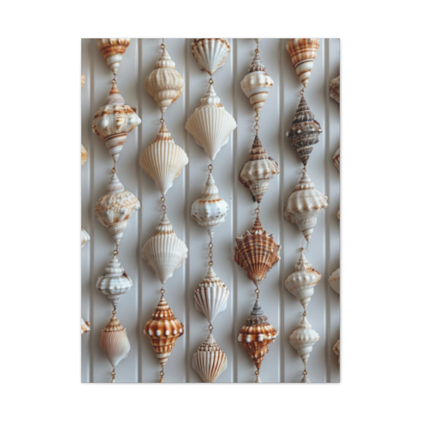 Seashell Serenity Canvas Print