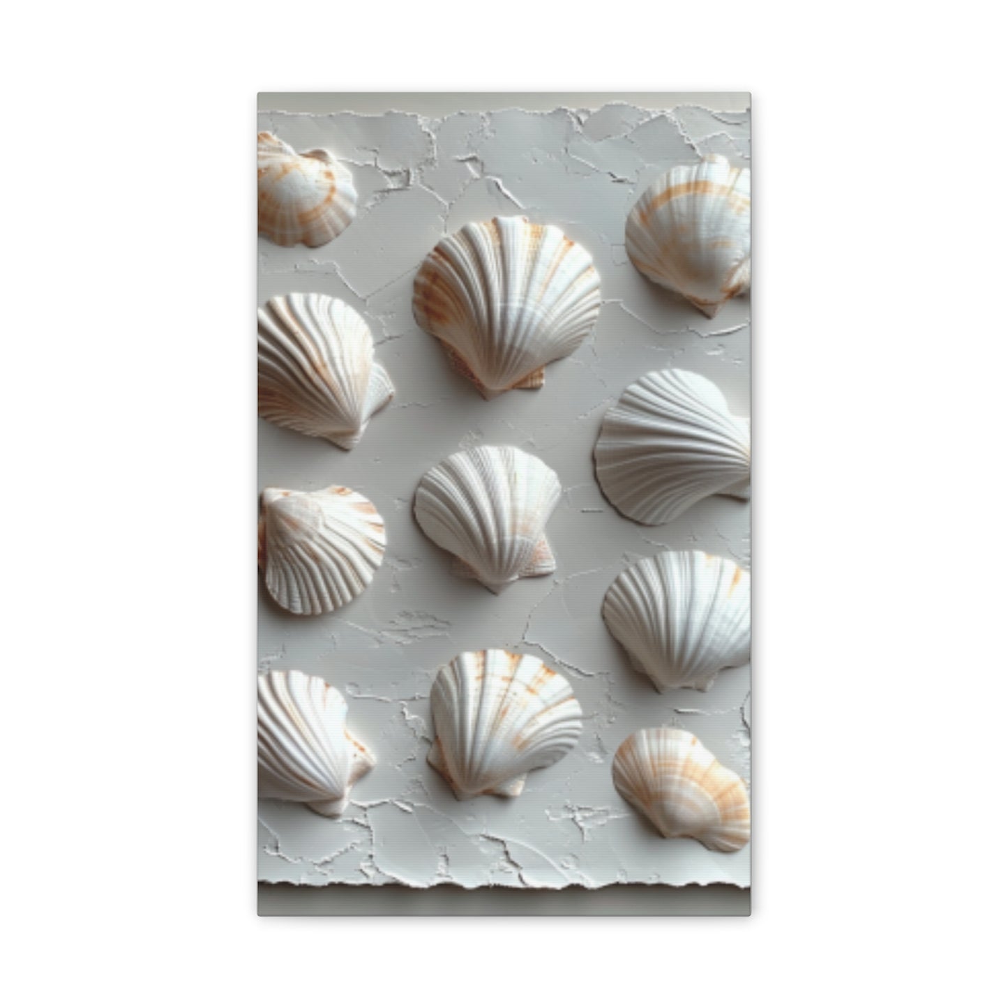 Seashell Serenity Canvas Print