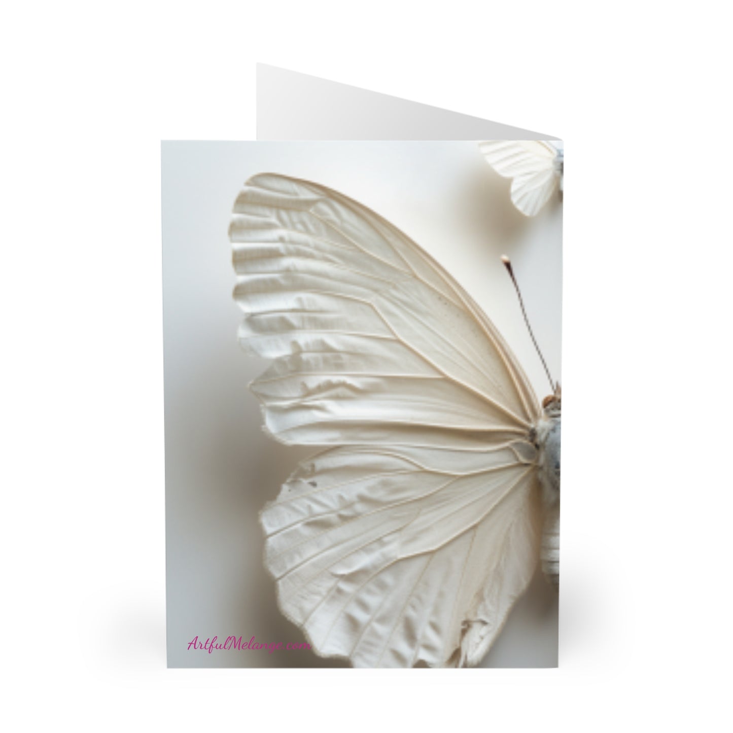 Wings of Wonder: Butterfly Note Card Collection (5 Pack)