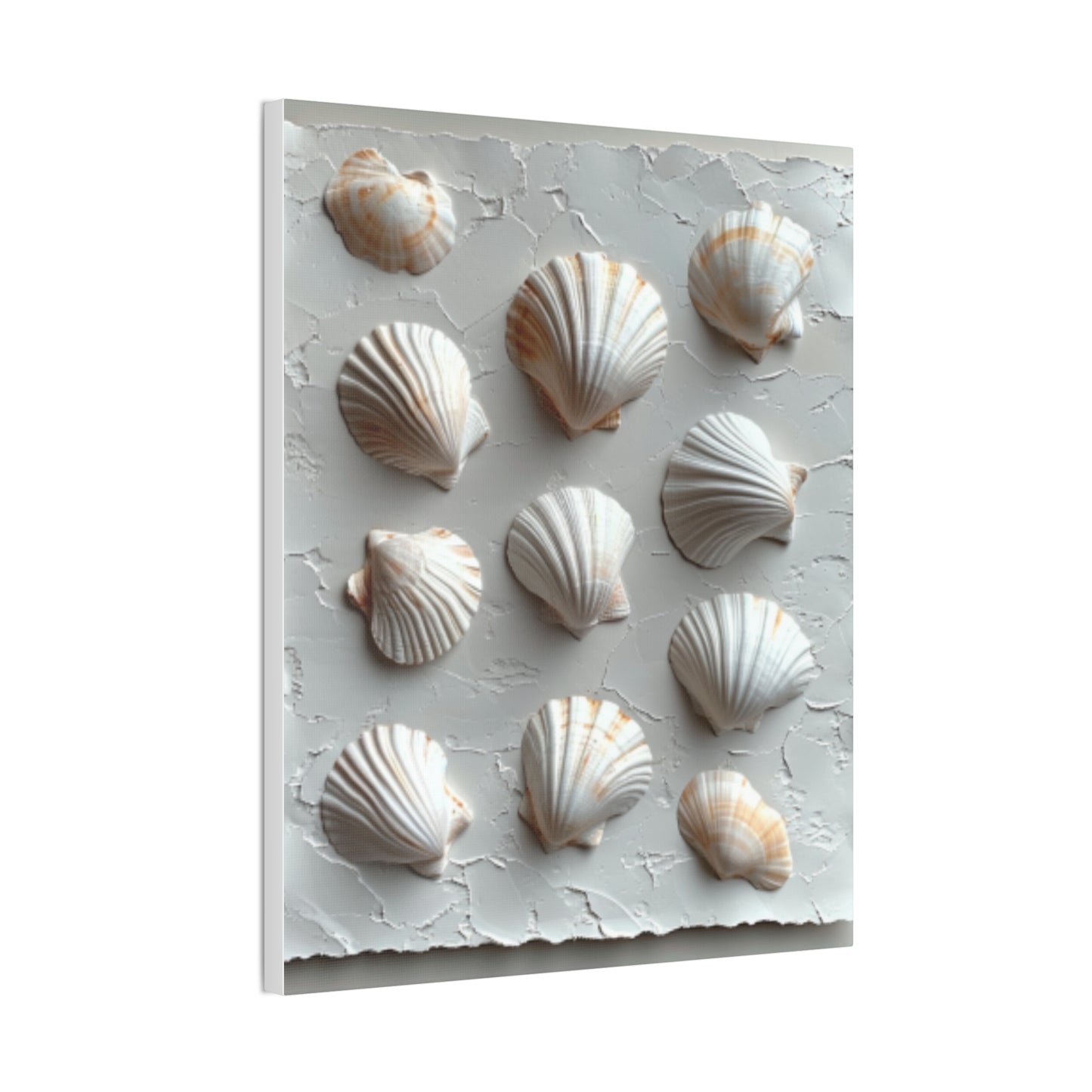 Seashell Serenity Canvas Print