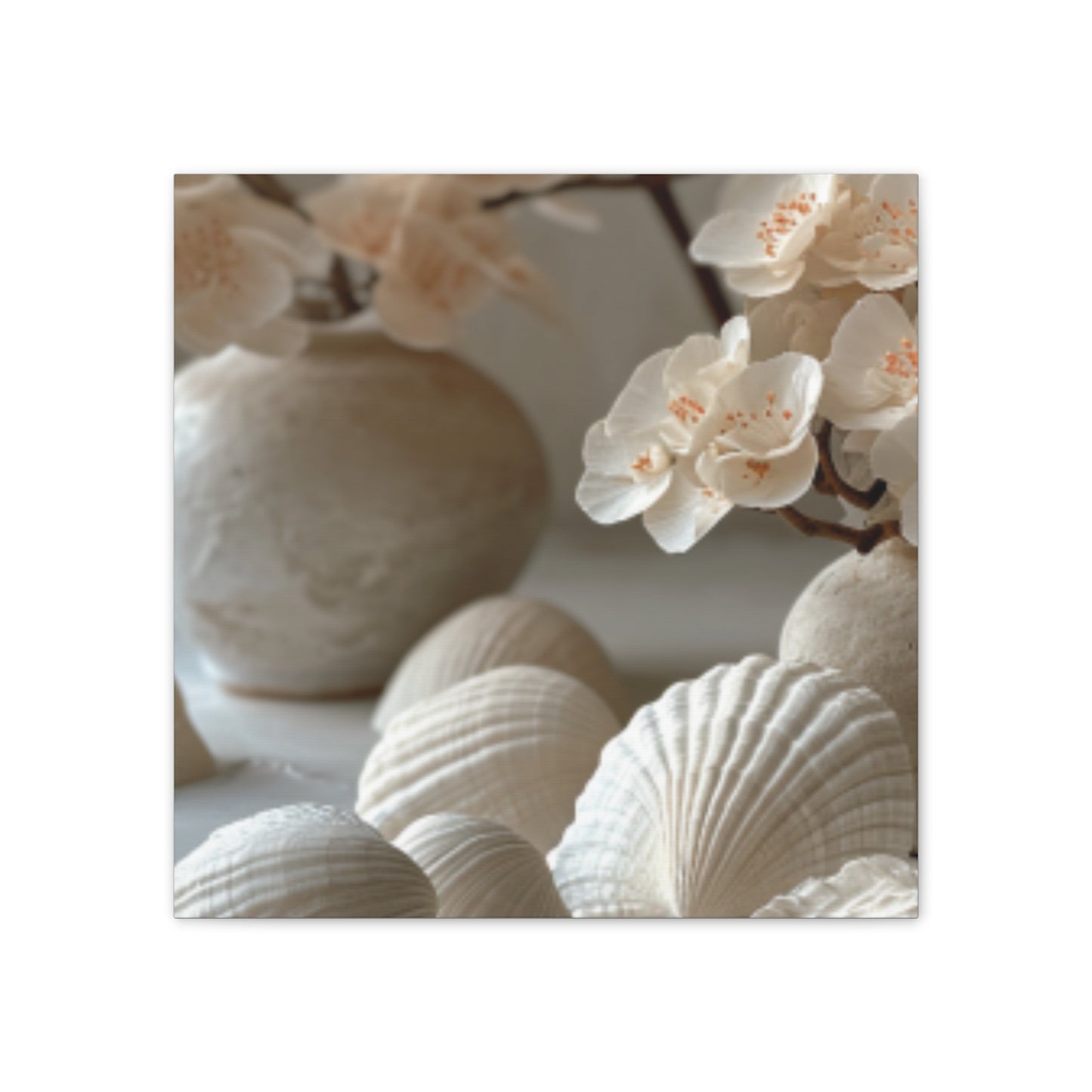 Seashell Serenity Canvas Print