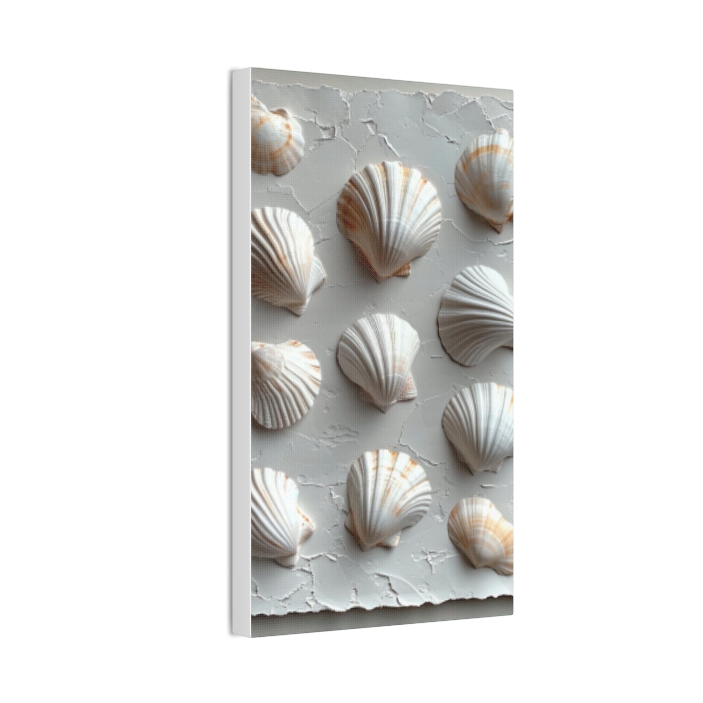 Seashell Serenity Canvas Print