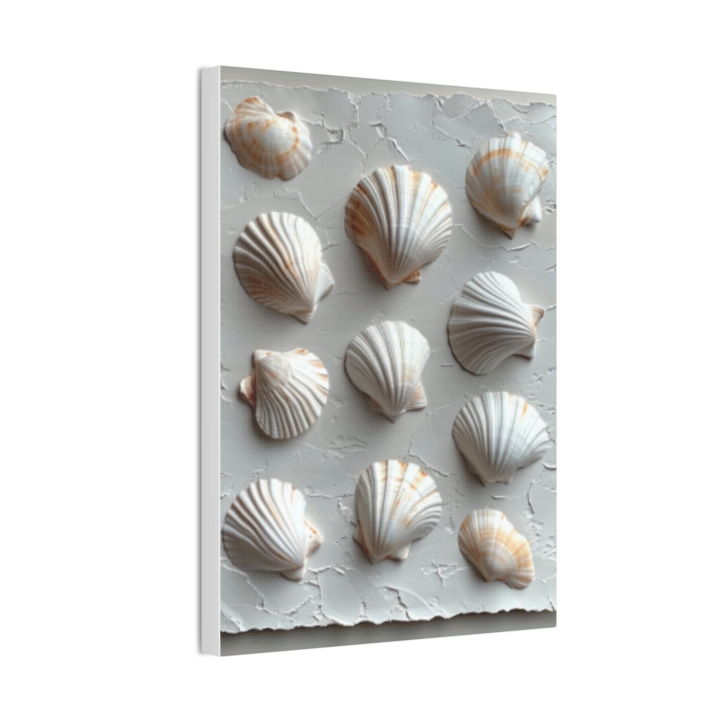 Seashell Serenity Canvas Print