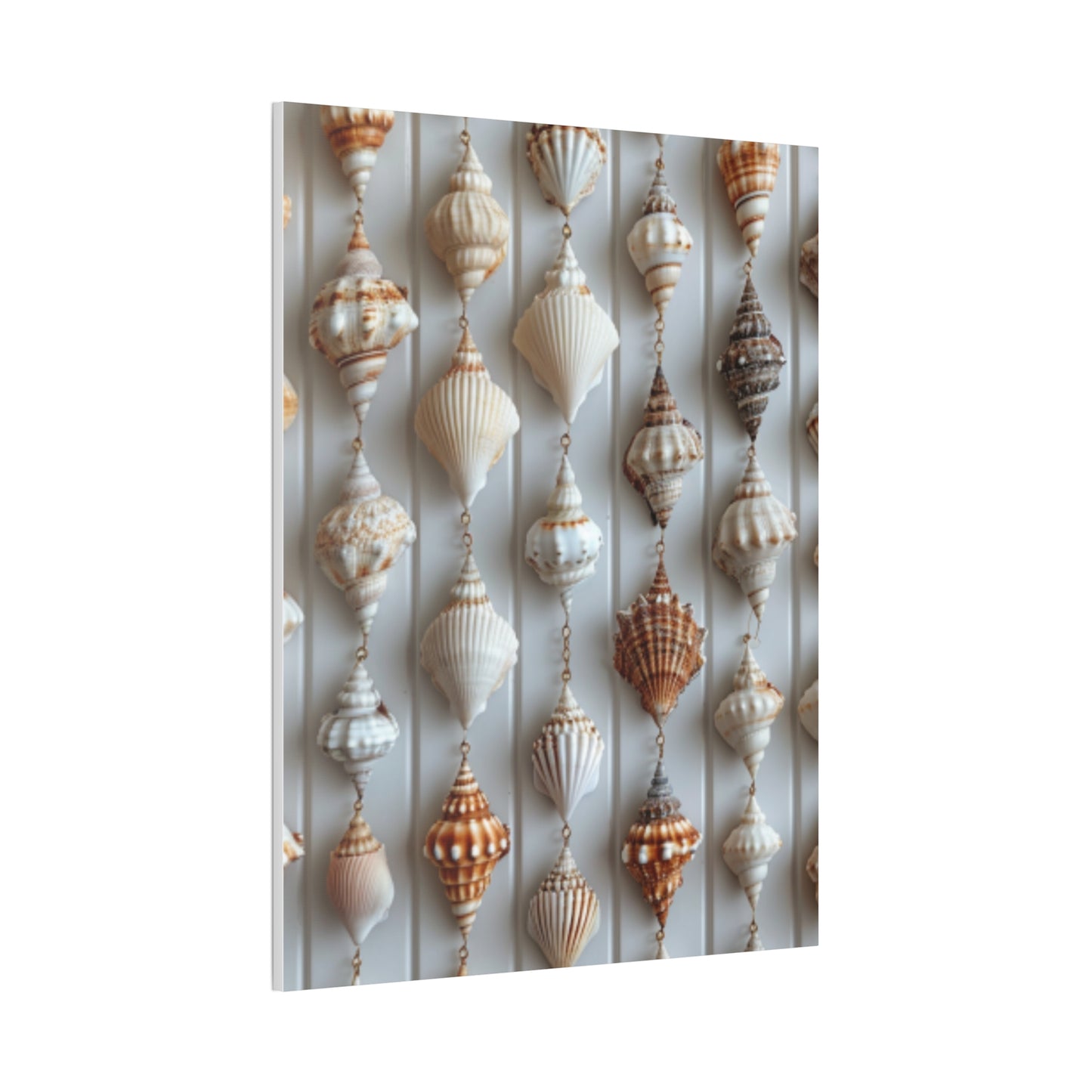 Seashell Serenity Canvas Print