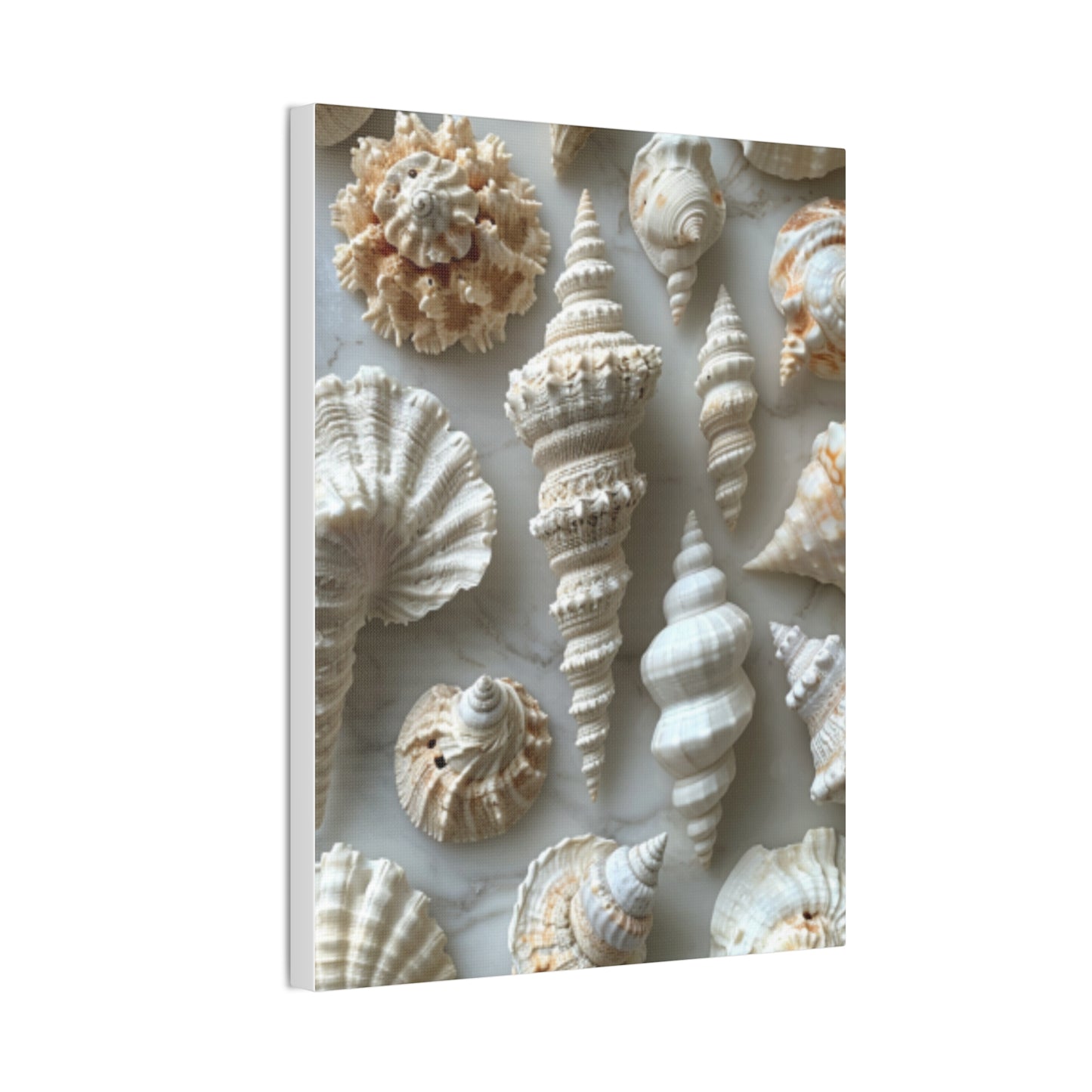 Seashell Serenity Canvas Print