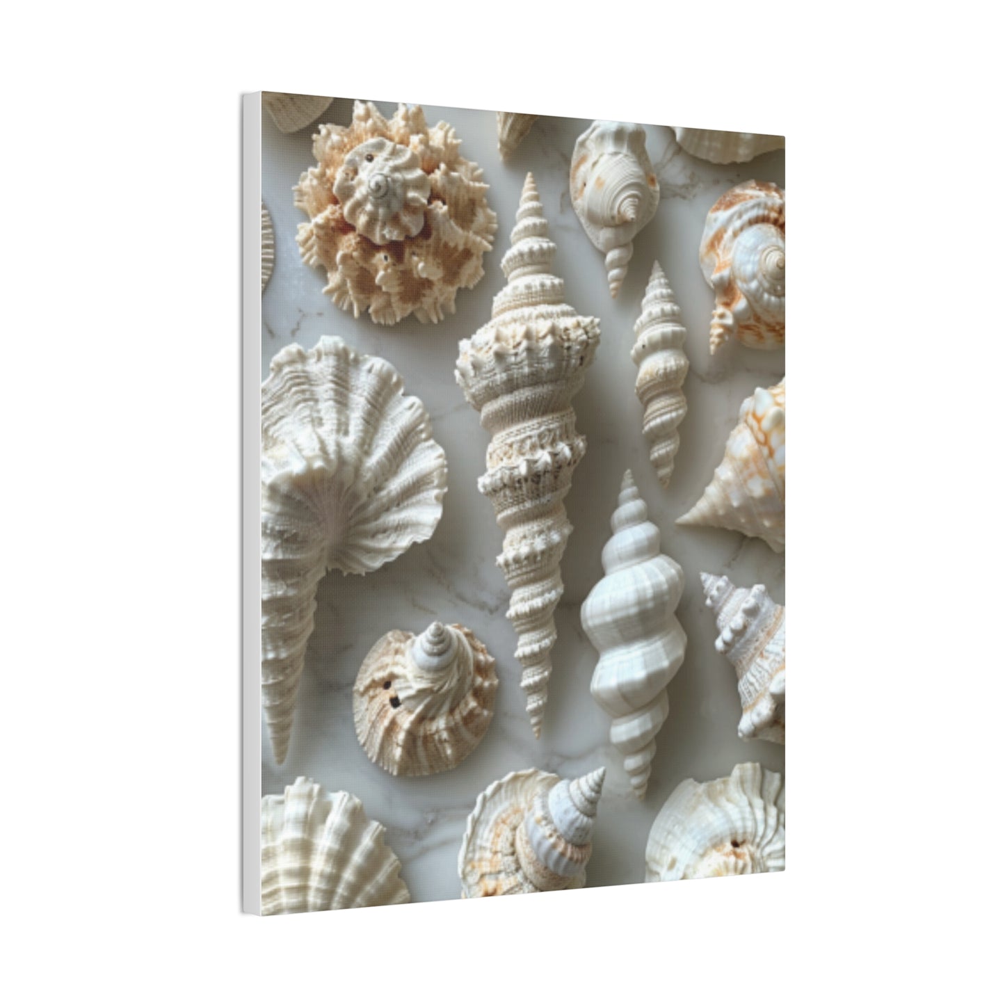 Seashell Serenity Canvas Print