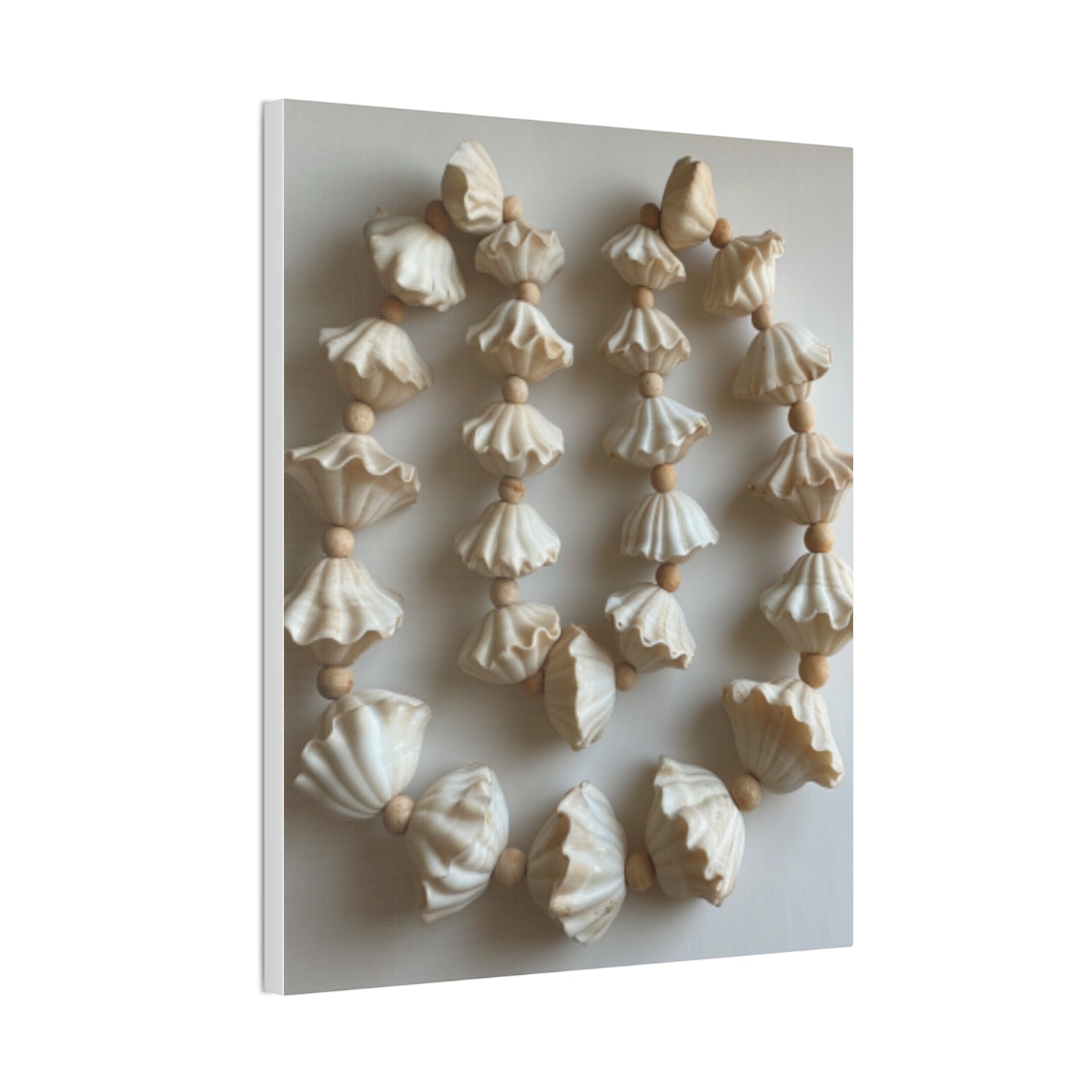 Seashell Serenity Canvas Print