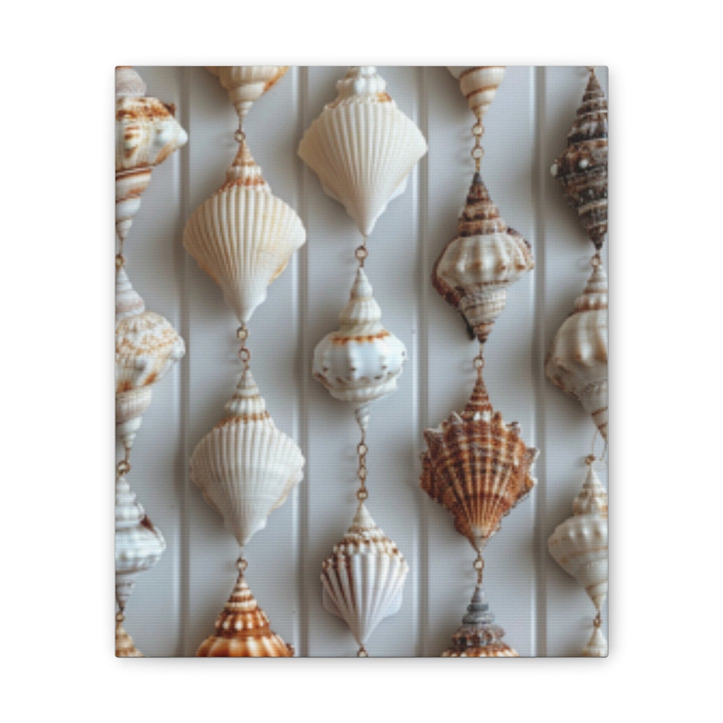 Seashell Serenity Canvas Print