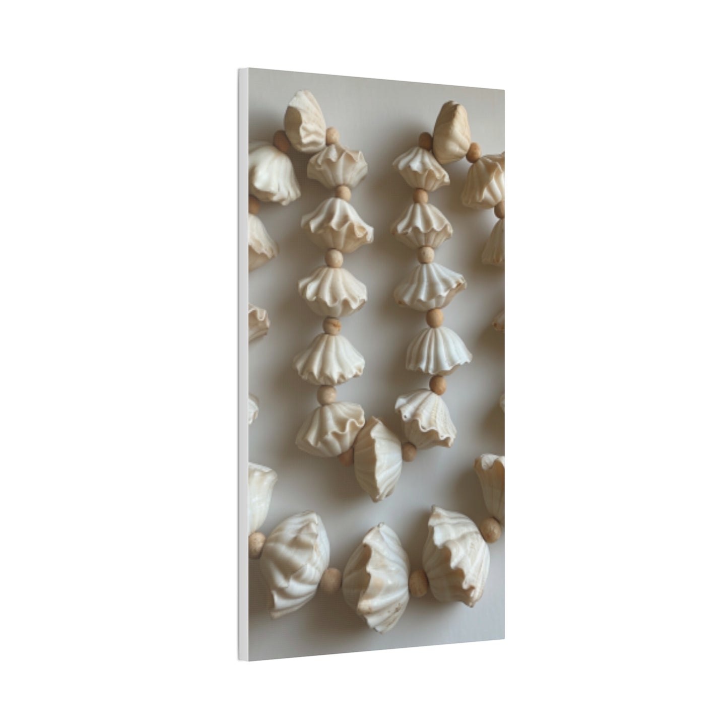 Seashell Serenity Canvas Print