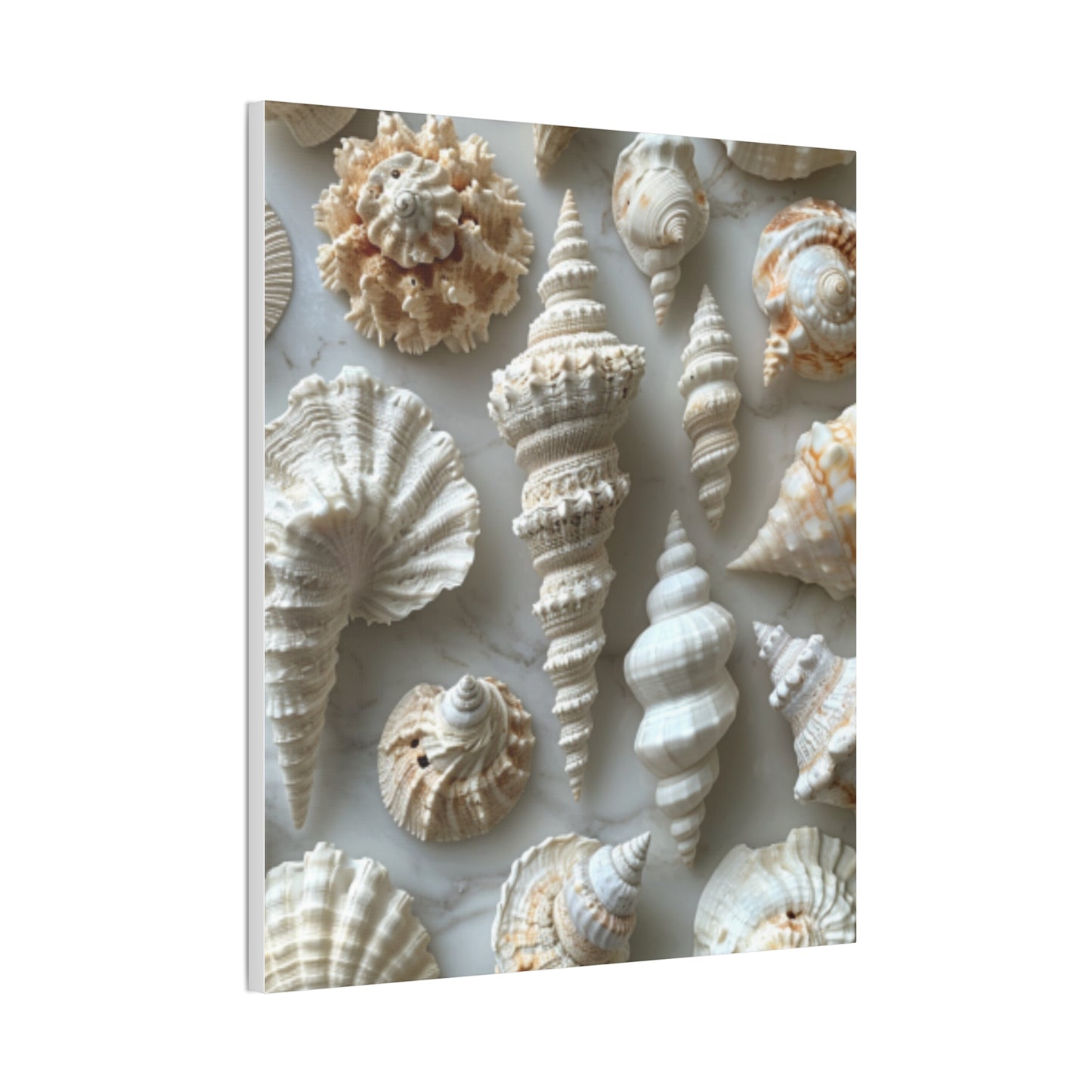 Seashell Serenity Canvas Print