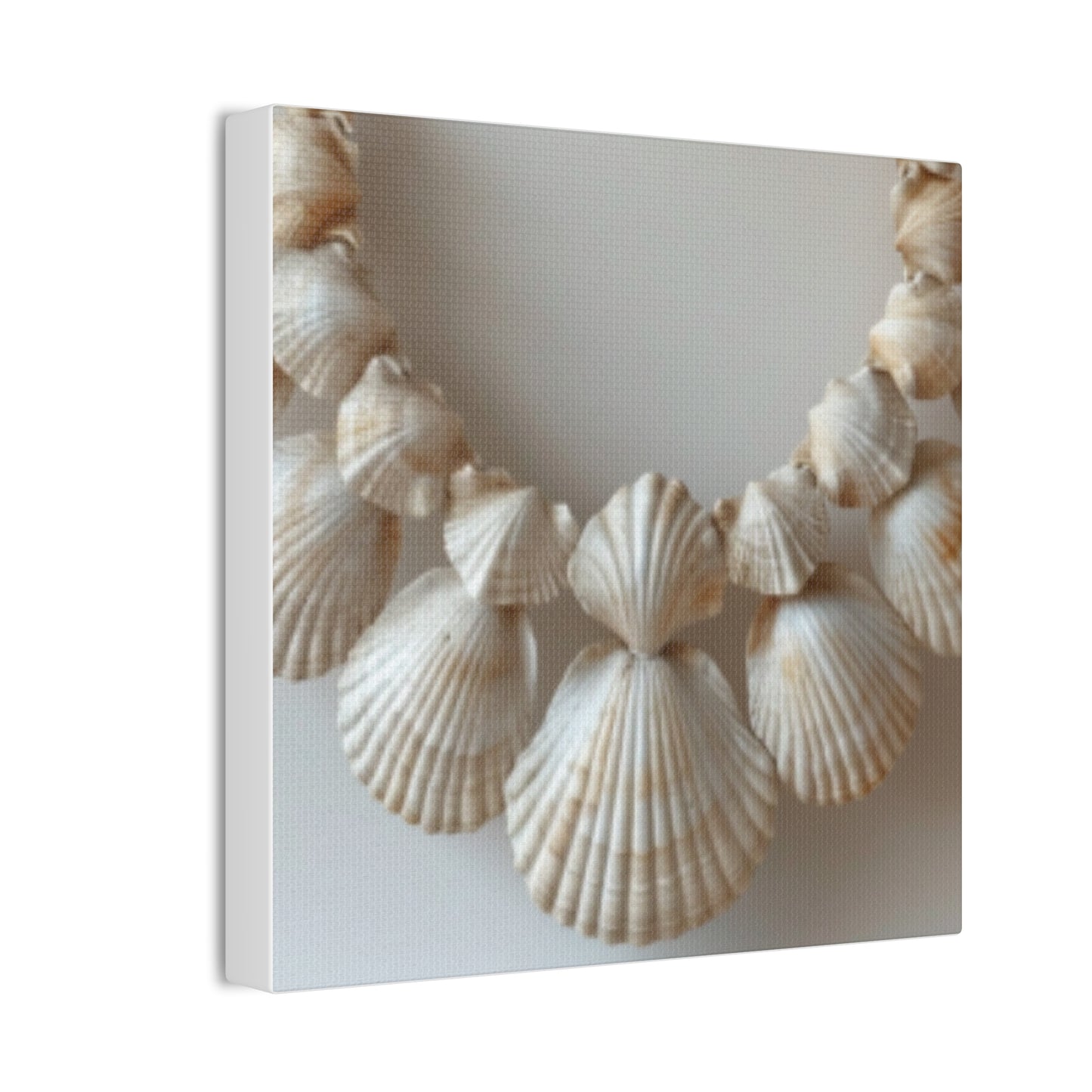 Seashell Serenity Canvas Print