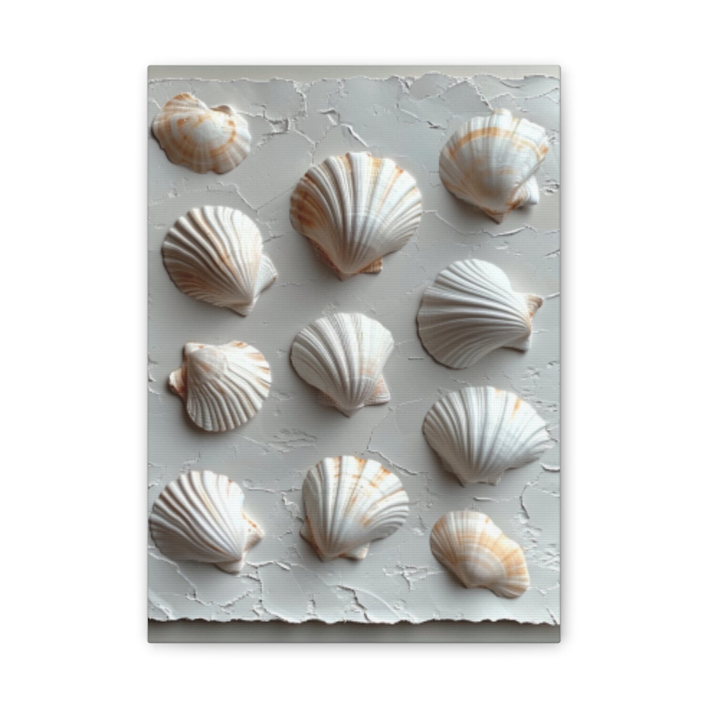 Seashell Serenity Canvas Print