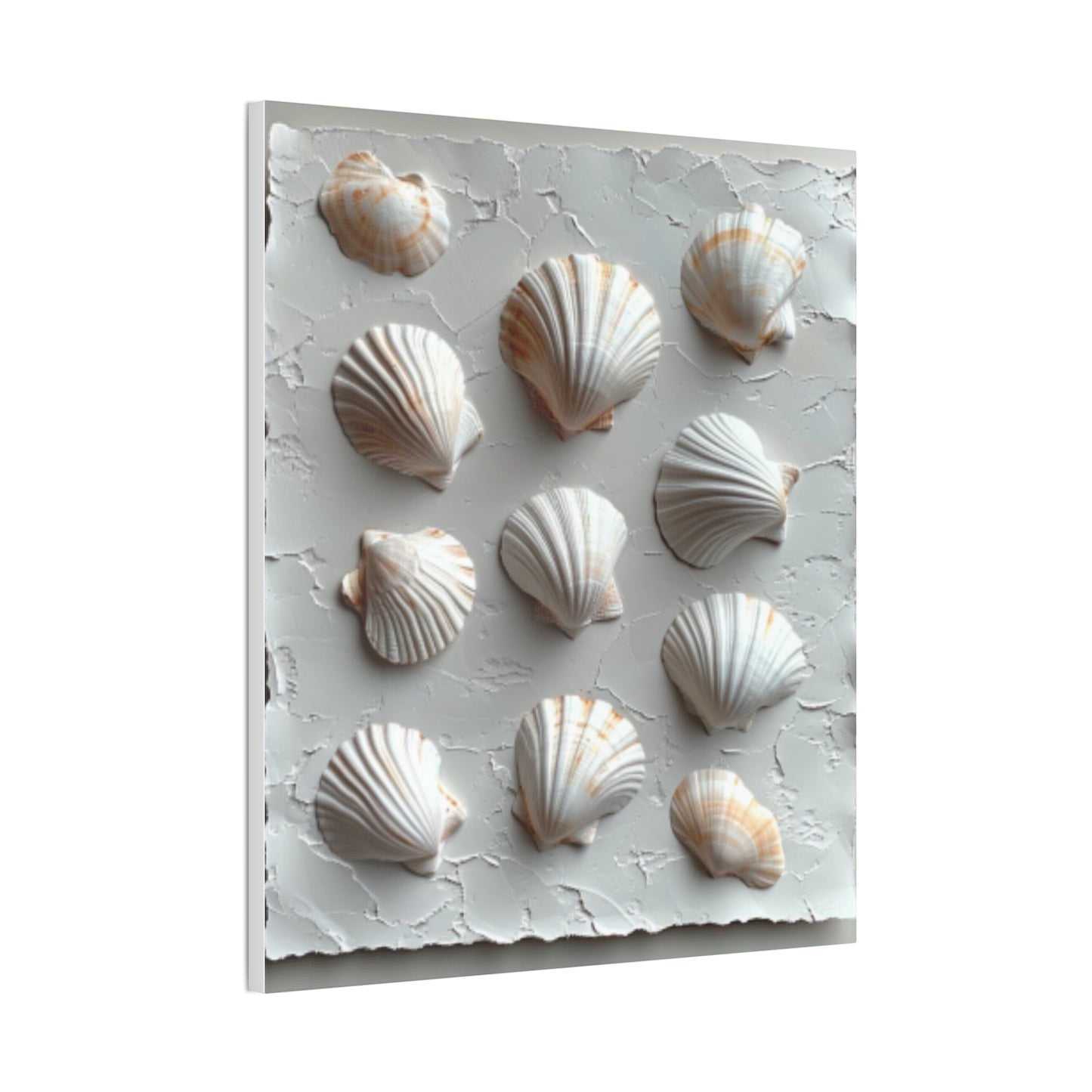 Seashell Serenity Canvas Print