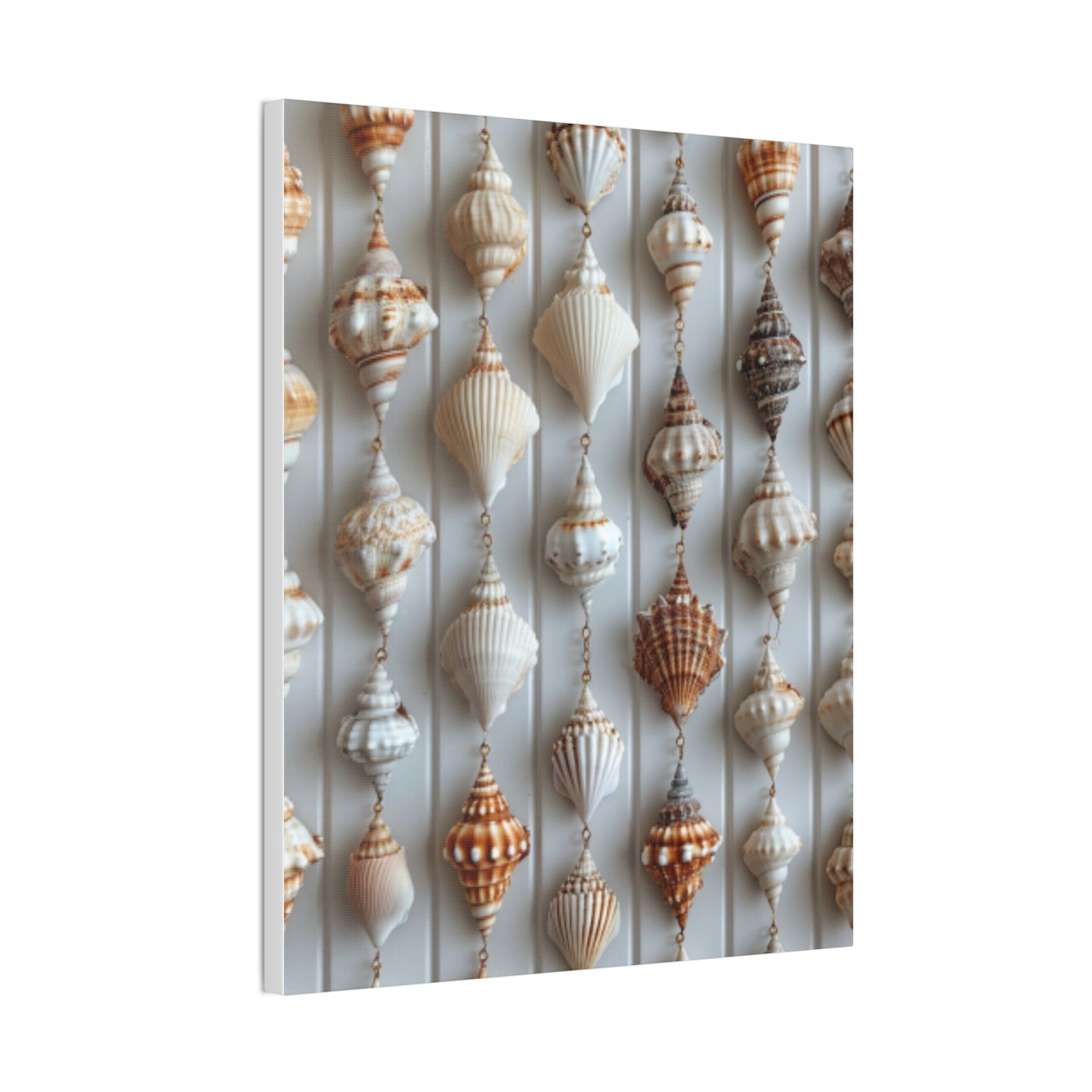 Seashell Serenity Canvas Print