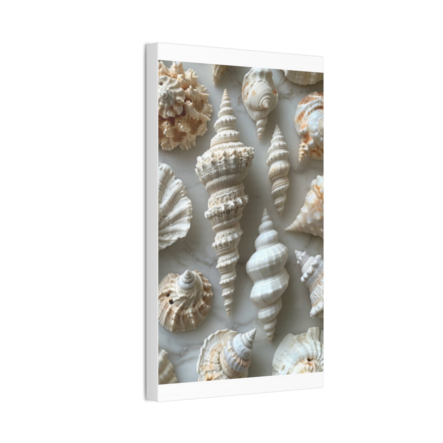 Seashell Serenity Canvas Print