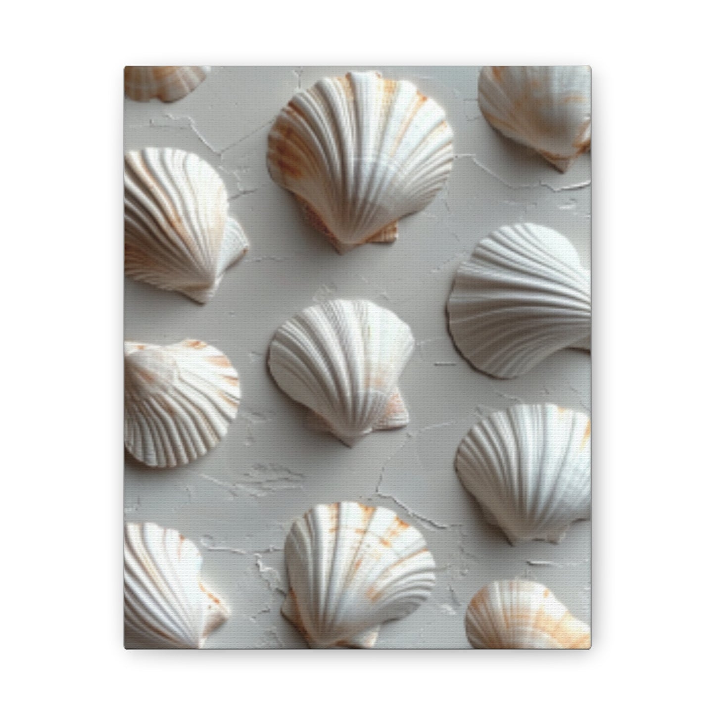 Seashell Serenity Canvas Print