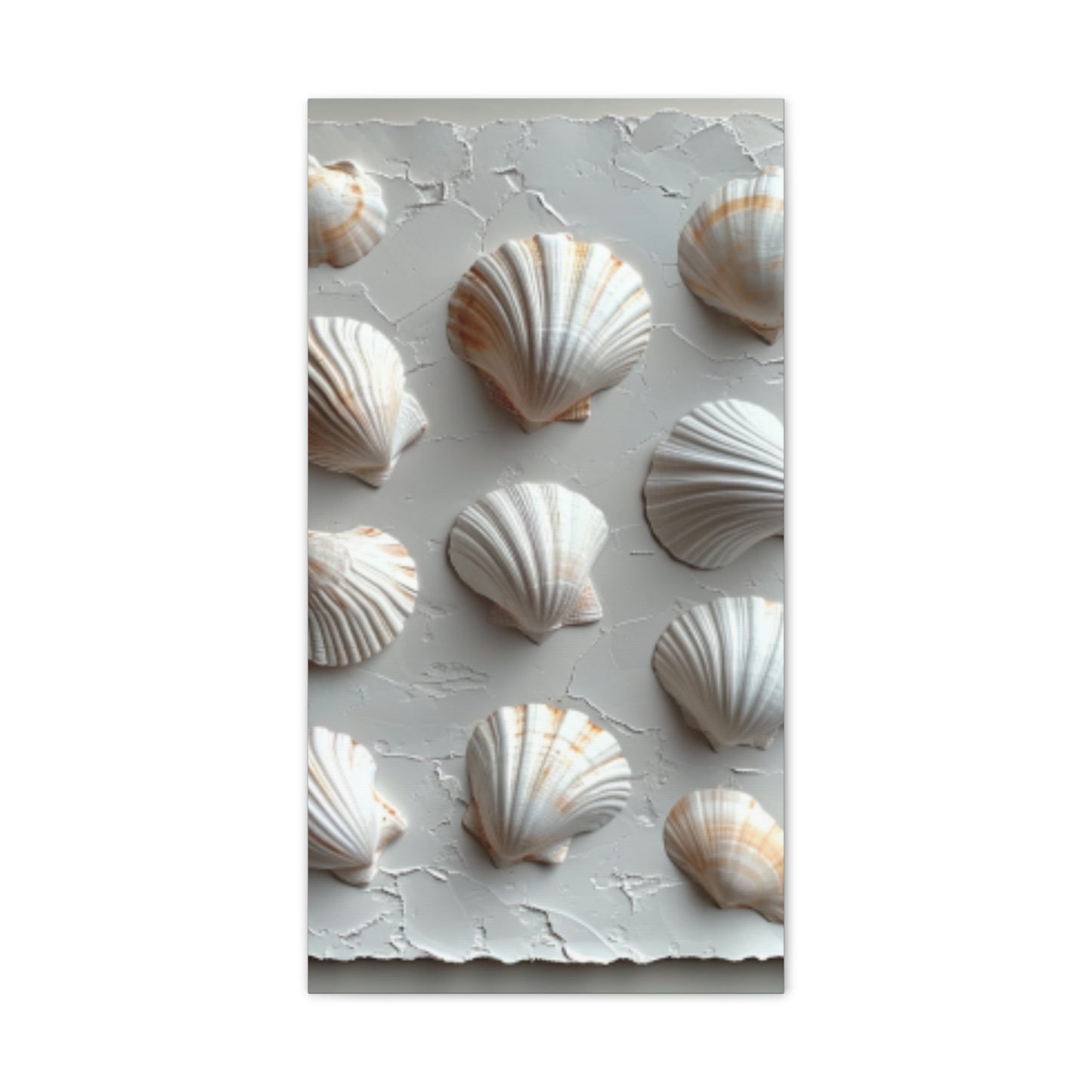 Seashell Serenity Canvas Print