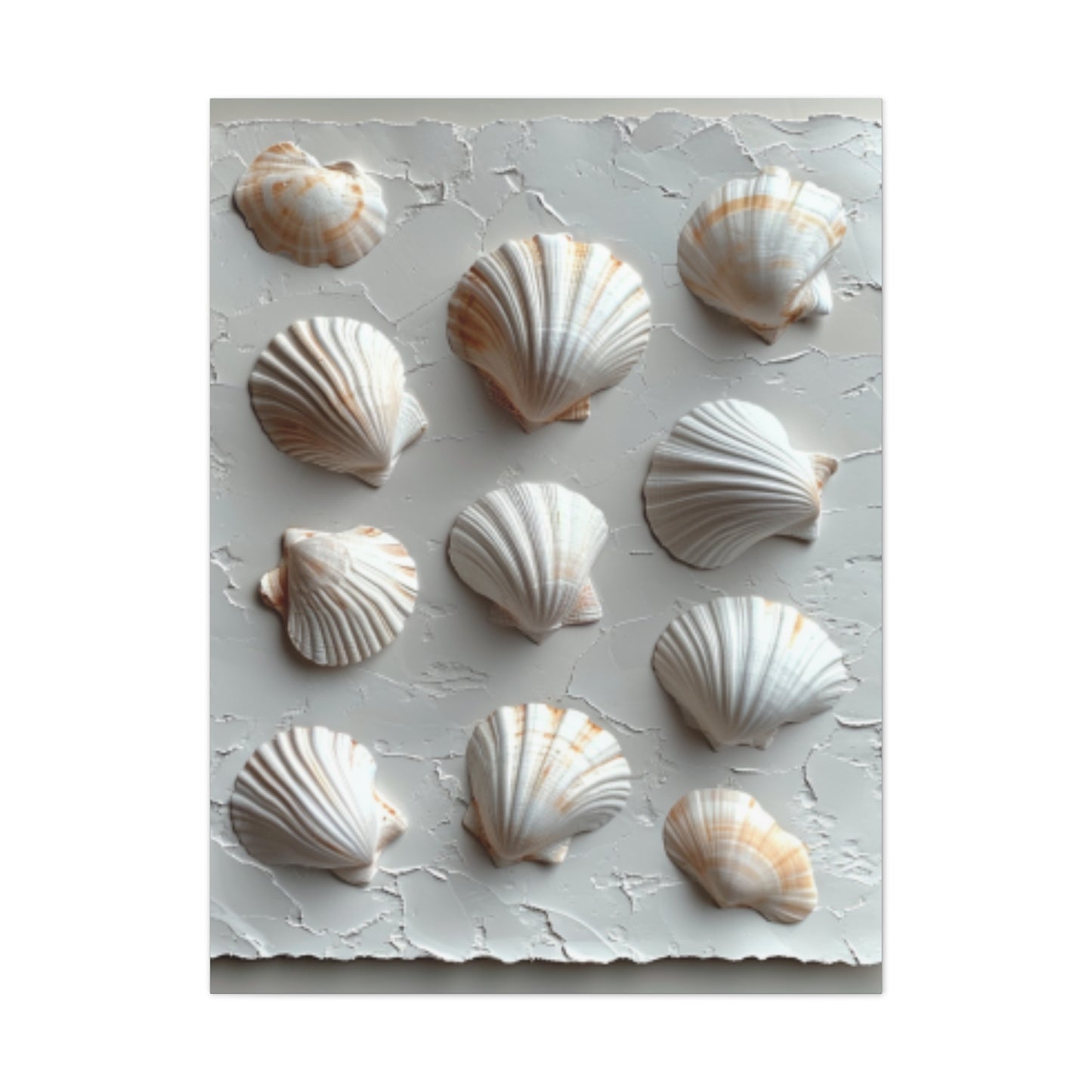 Seashell Serenity Canvas Print