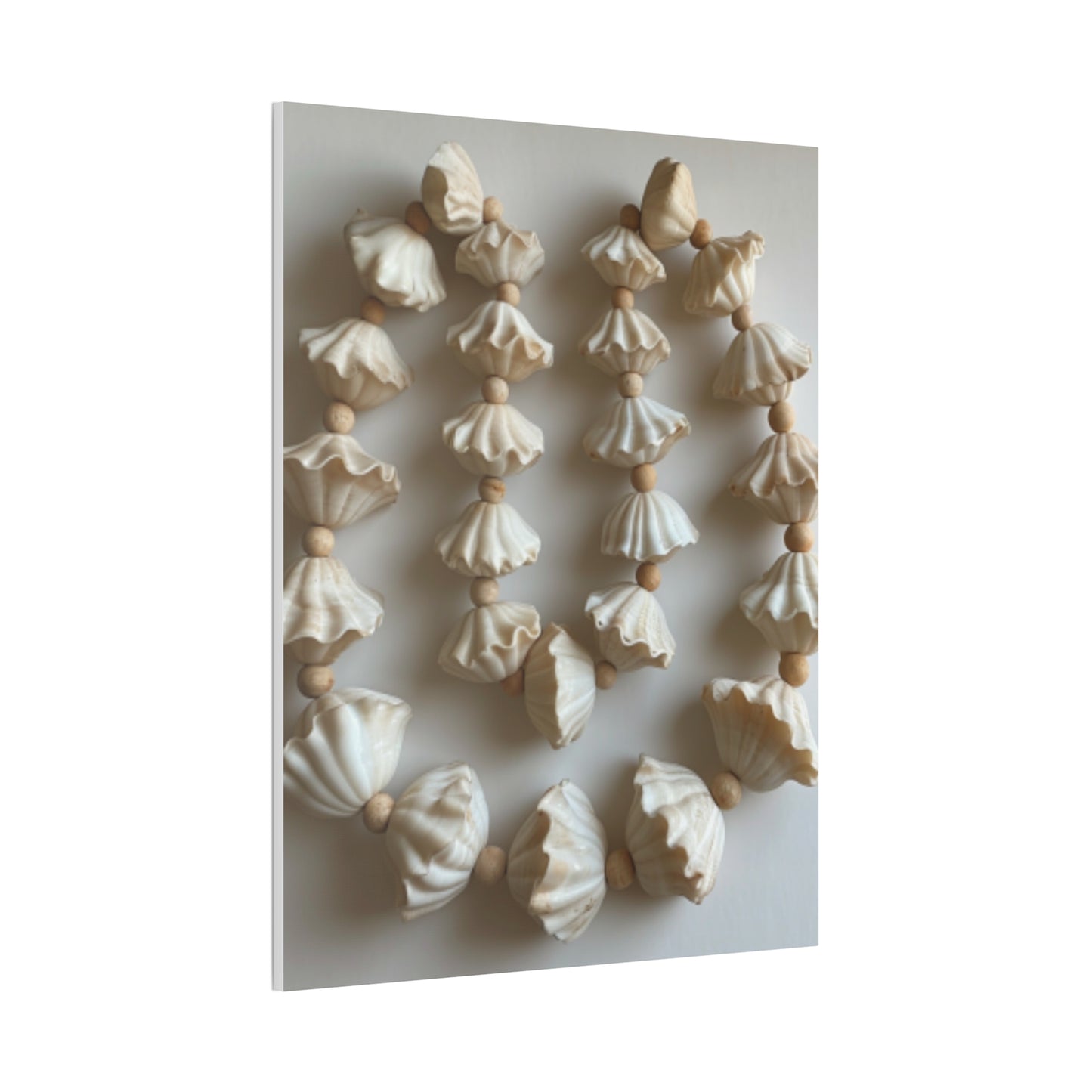 Seashell Serenity Canvas Print