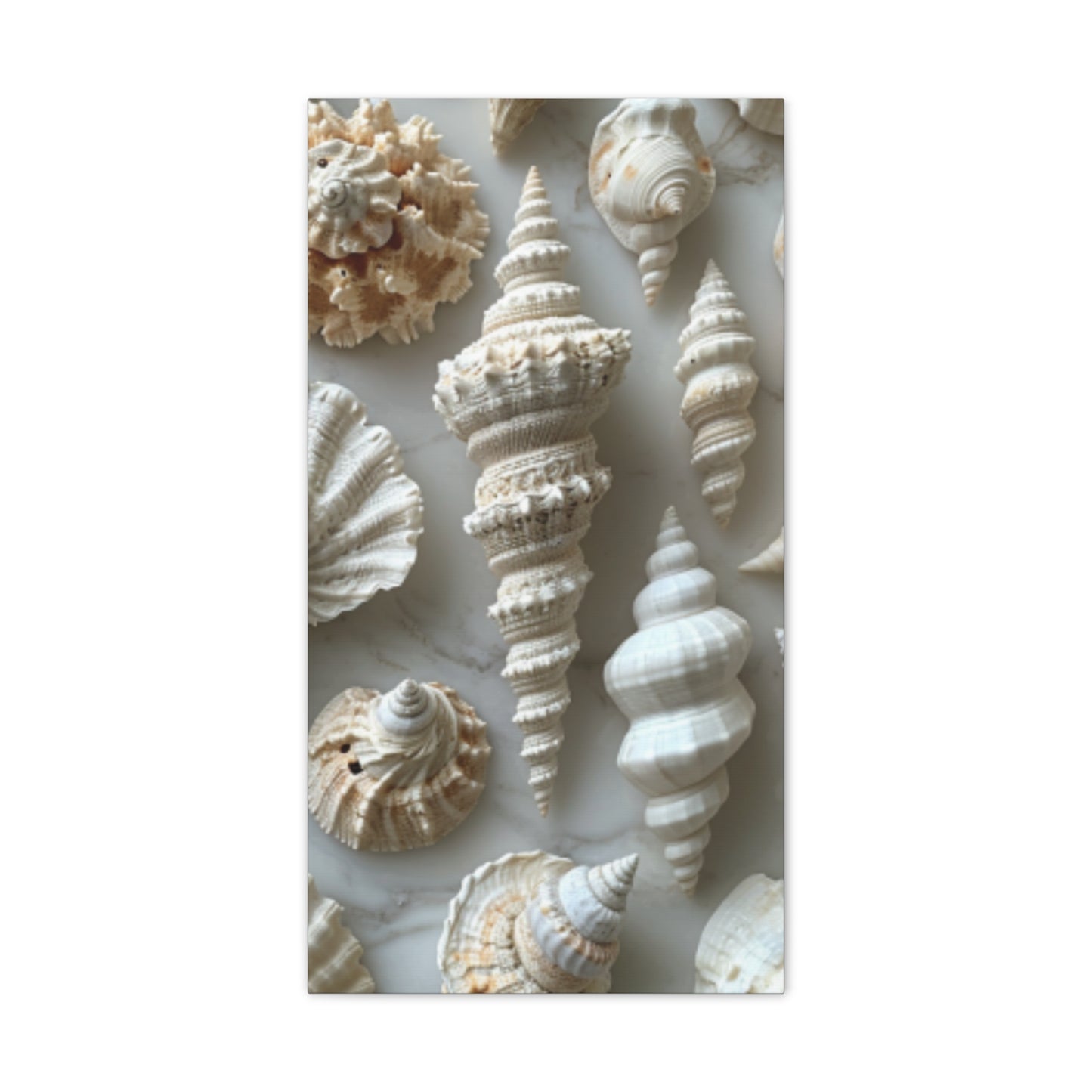 Seashell Serenity Canvas Print