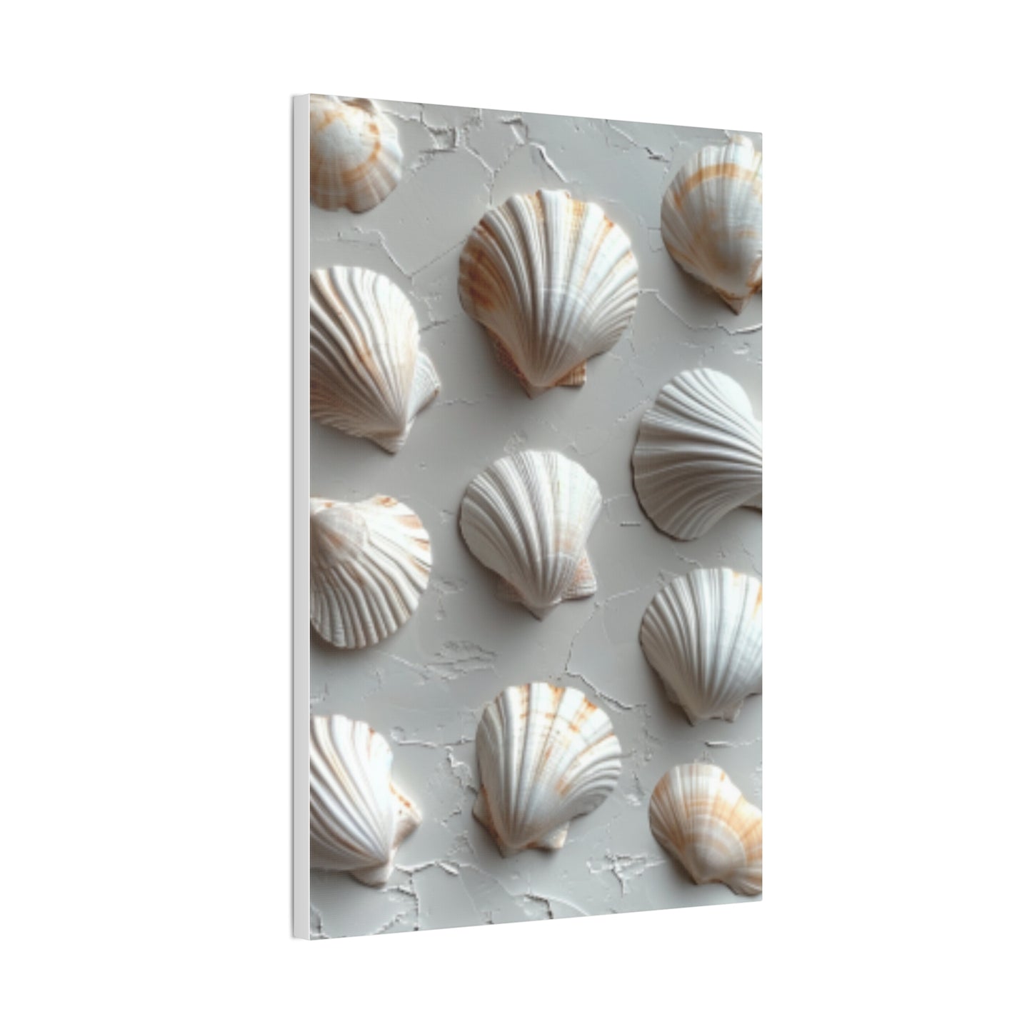 Seashell Serenity Canvas Print