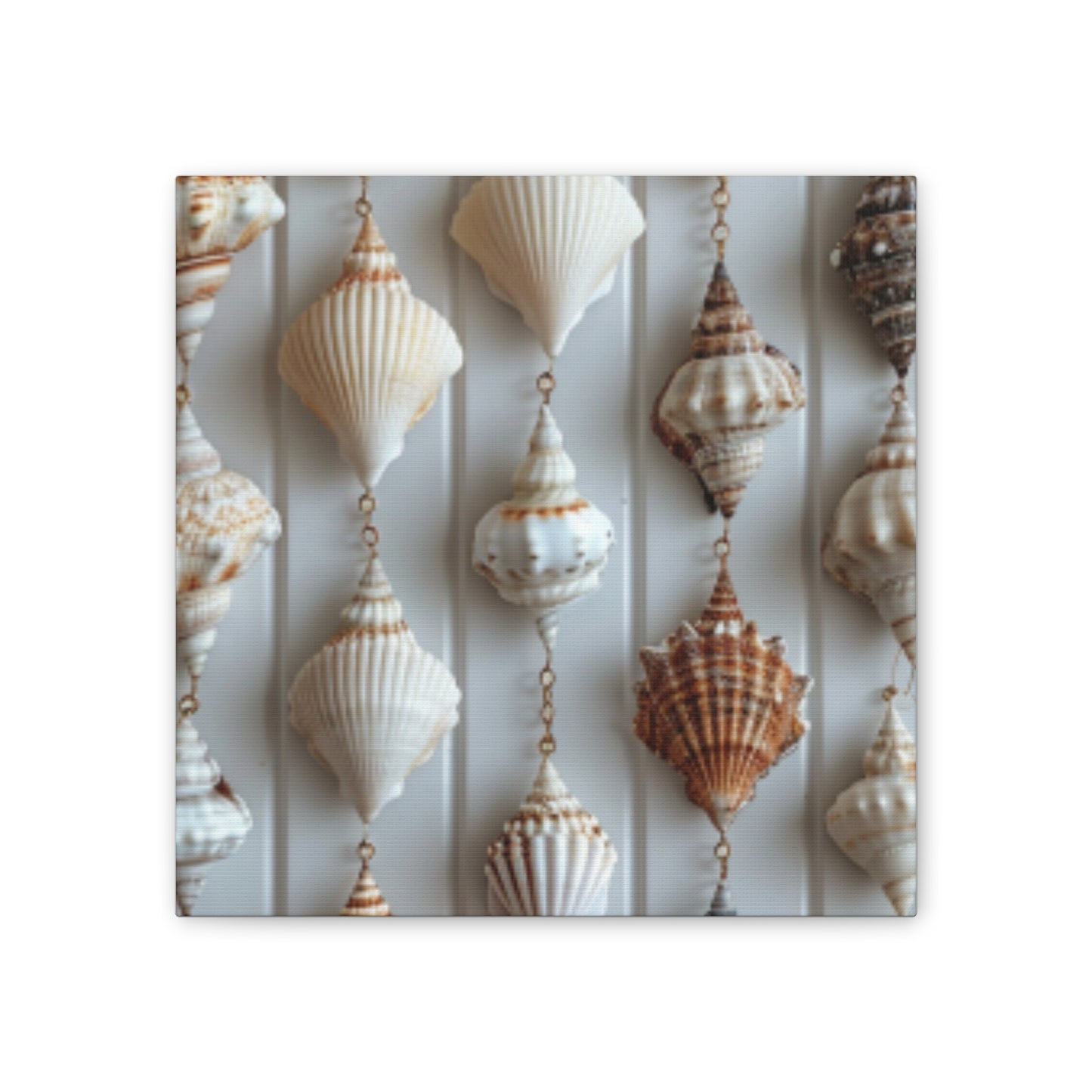 Seashell Serenity Canvas Print